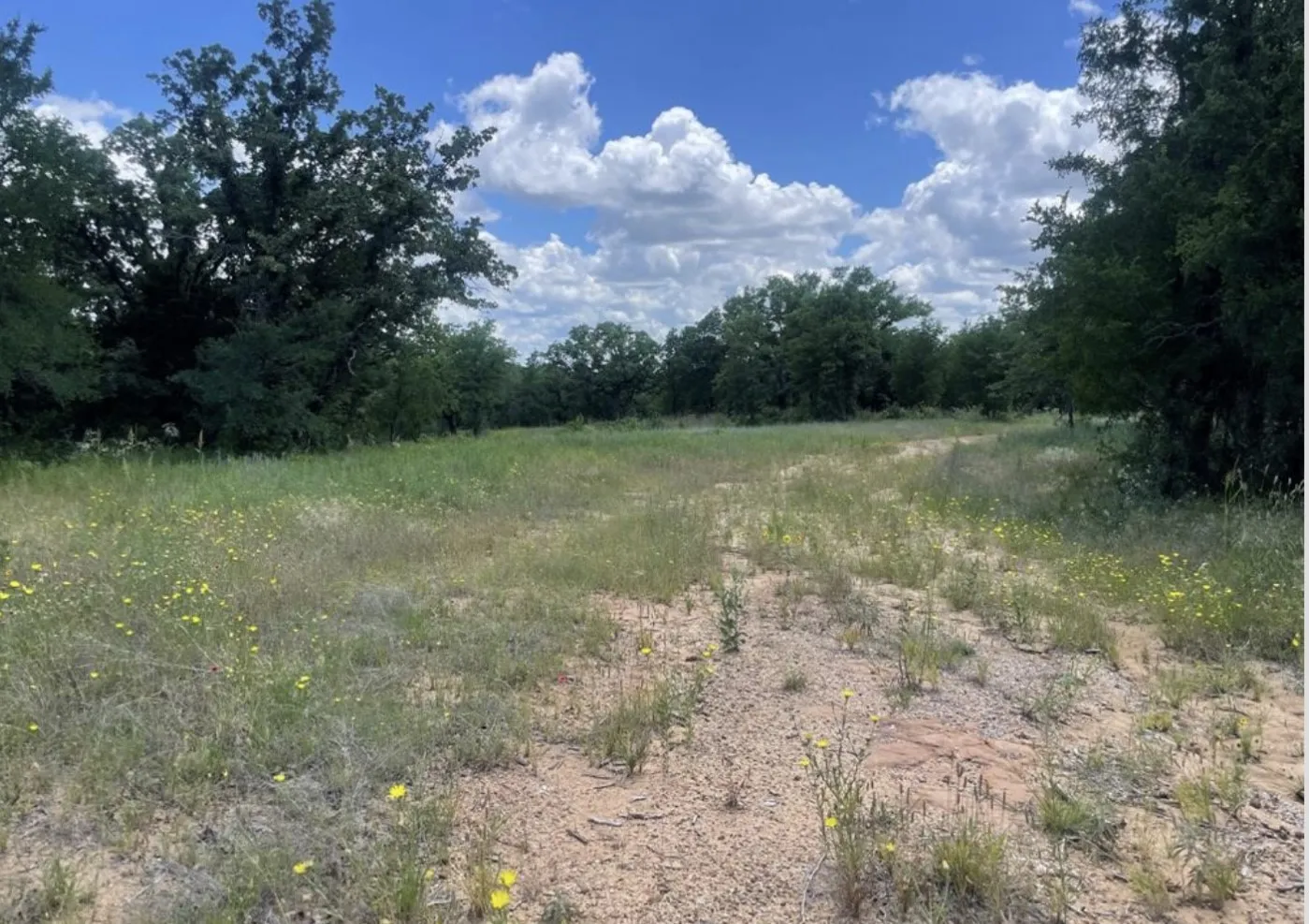 Unimproved Land For Sale in Young County , 000 Lower Tonk Valley Road, Graham, Texas 76450, 0, 0, Garage spaces, 0 Sqft, built in 0, mls#21418331, Real Estate Agent in Graham, Homes For Sale in Young county, Homes For Sale in Graham, Realtor in Graham Texas, Real Estate Brokerage Independent Realty Texas, Luminita Cordes Realtor