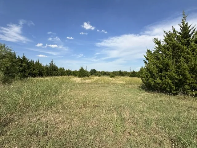Unimproved Land For Sale in Johnson County , 1621 Hudson Court, Alvarado, Texas 76009, 0, 0, Garage spaces, 0 Sqft, built in 0, mls#21420034, Real Estate Agent in Alvarado, Homes For Sale in Johnson county, Homes For Sale in Alvarado, Realtor in Alvarado Texas, Real Estate Brokerage Independent Realty Texas, Luminita Cordes Realtor