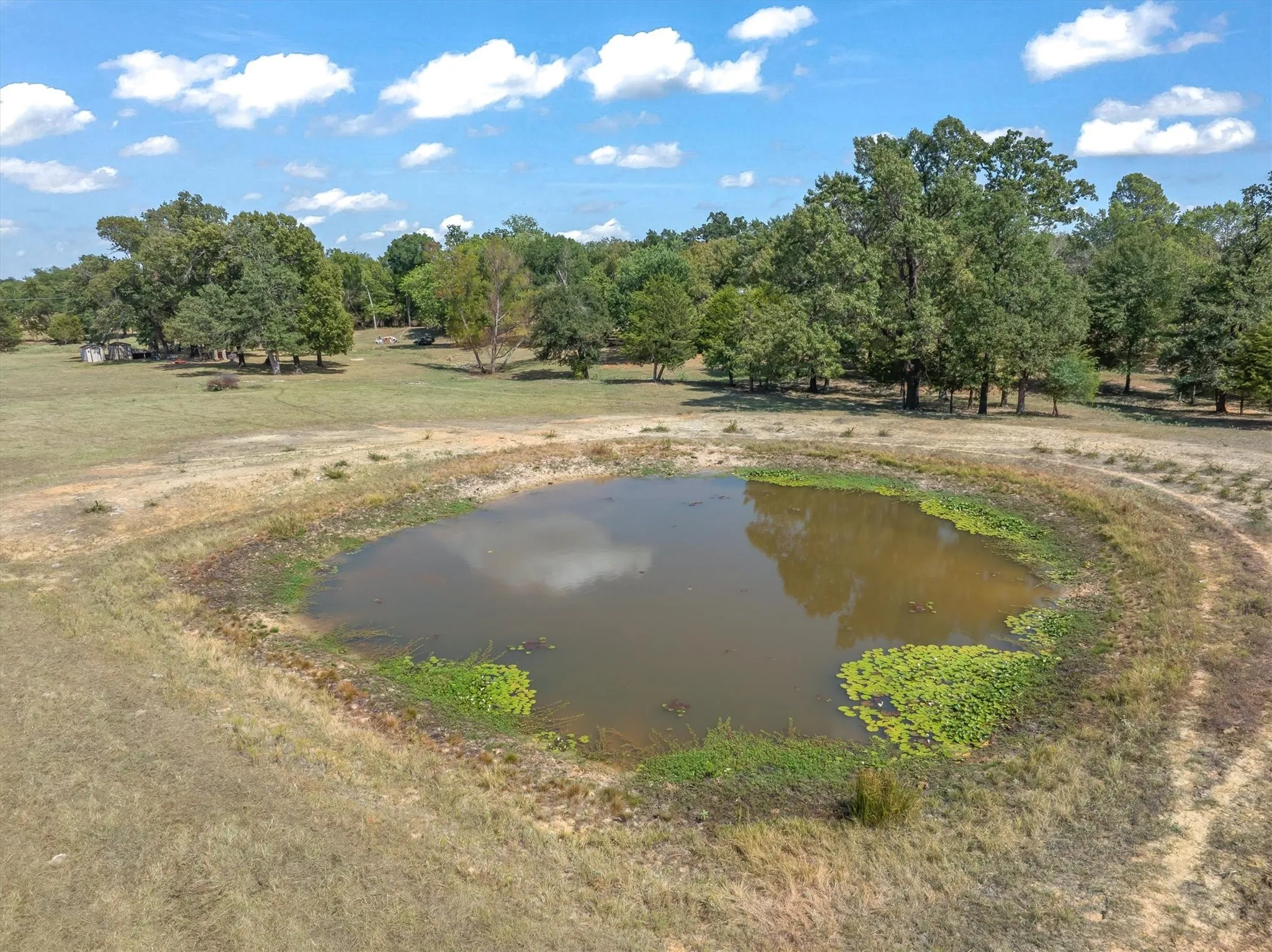 One of the ponds