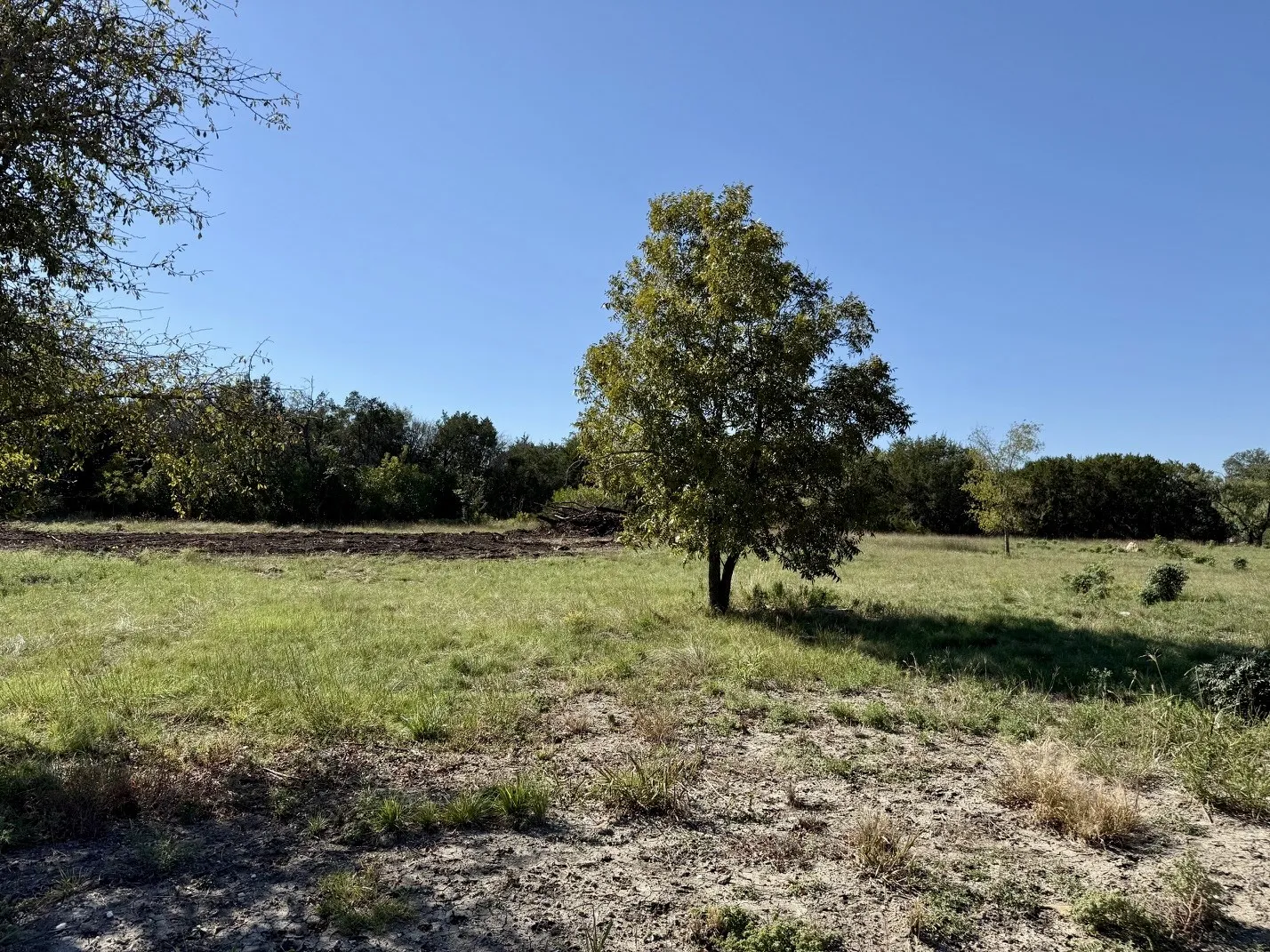 Unimproved Land For Sale in Hamilton County , TBD Piper Oaks Lane, Hamilton, Texas 76531, 0, 0, Garage spaces, 0 Sqft, built in 0, mls#21419952, Real Estate Agent in Hamilton, Homes For Sale in Hamilton county, Homes For Sale in Hamilton, Realtor in Hamilton Texas, Real Estate Brokerage Independent Realty Texas, Luminita Cordes Realtor