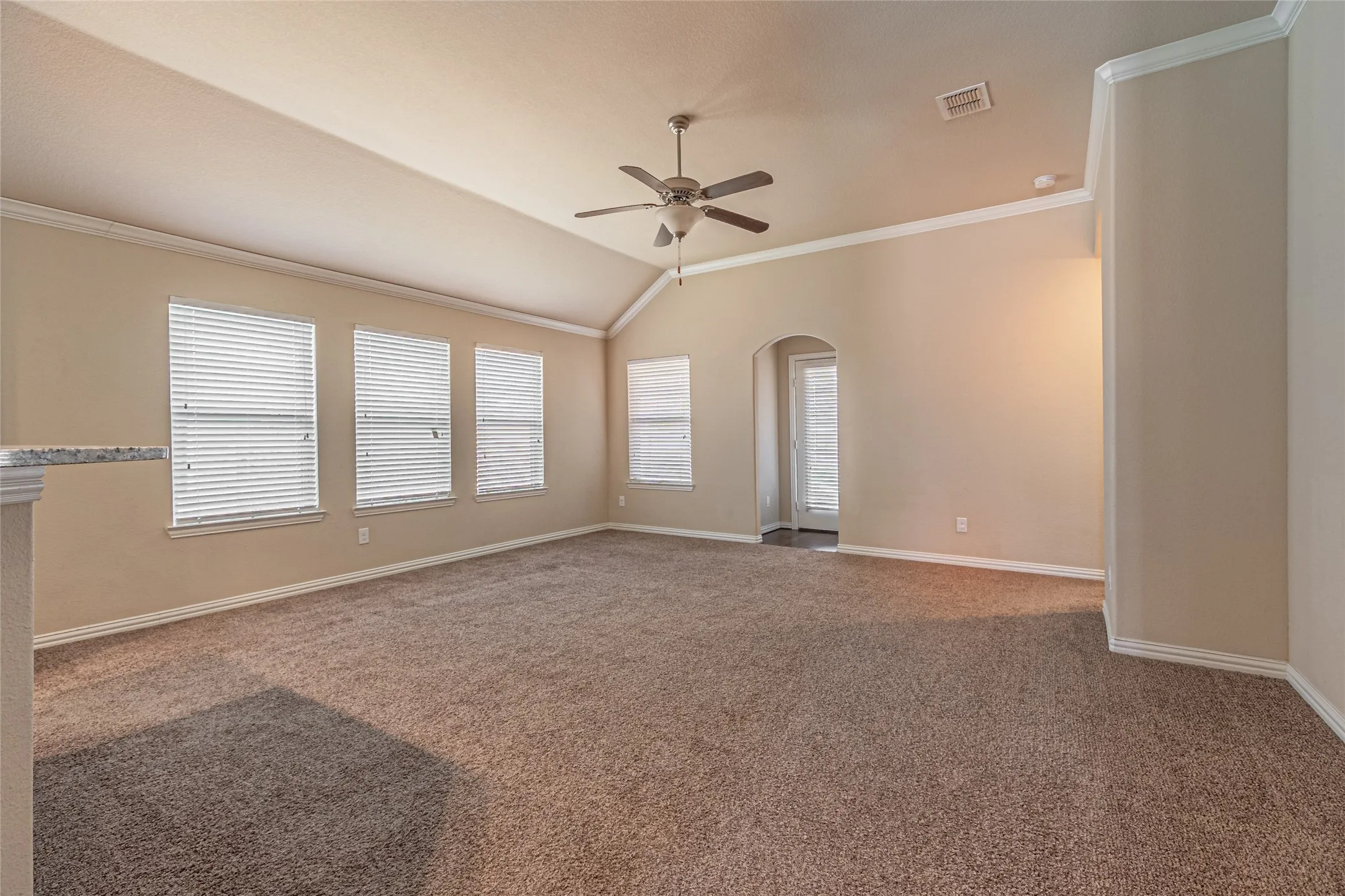 Vaulted ceilings, neutral wall tones, wall-to-wall carpeting, multiple windows with blinds, and a central ceiling fan