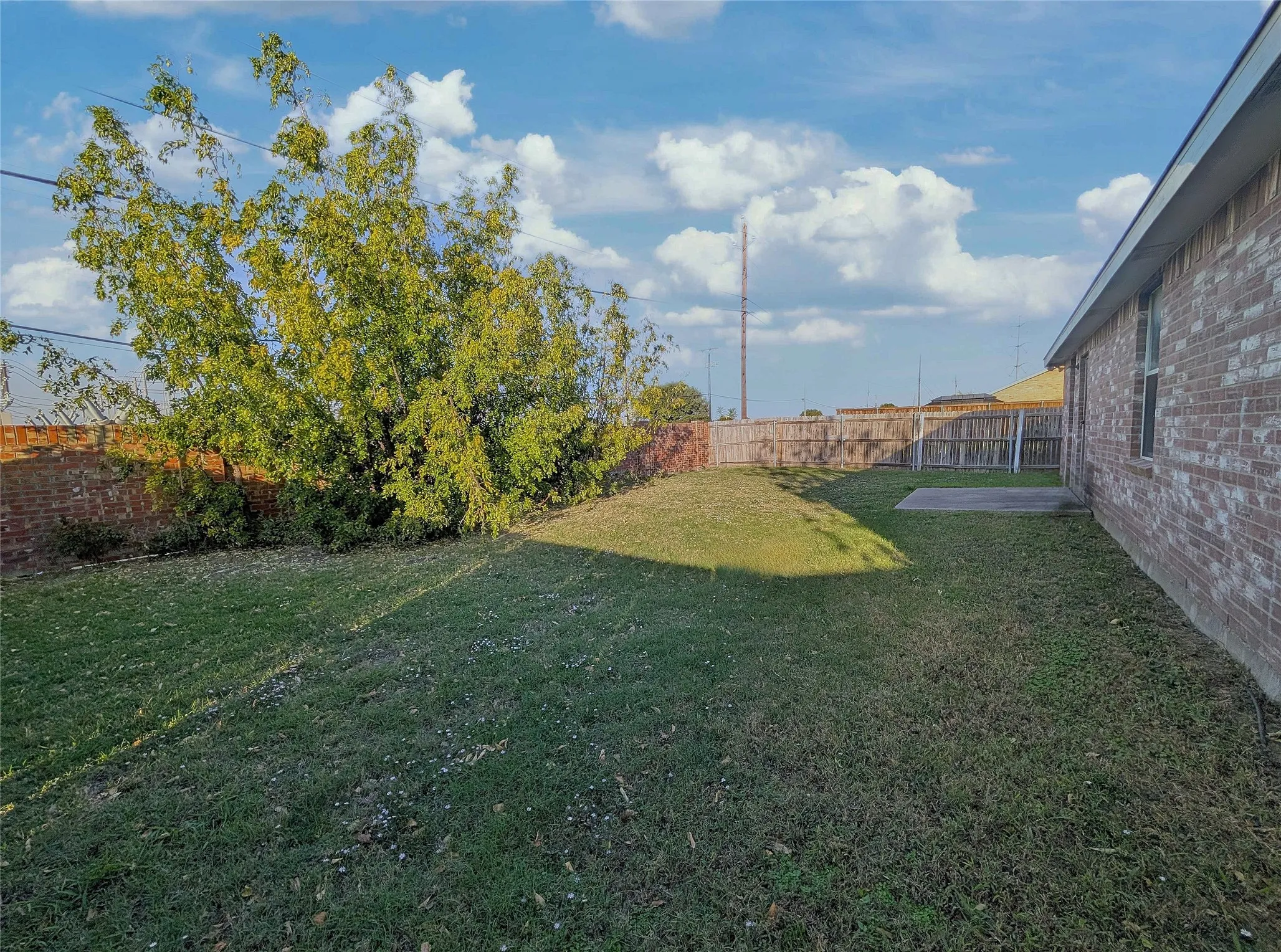Large fenced backyard