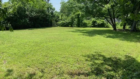 Expansive lot featuring a level lawn and mature perimeter trees