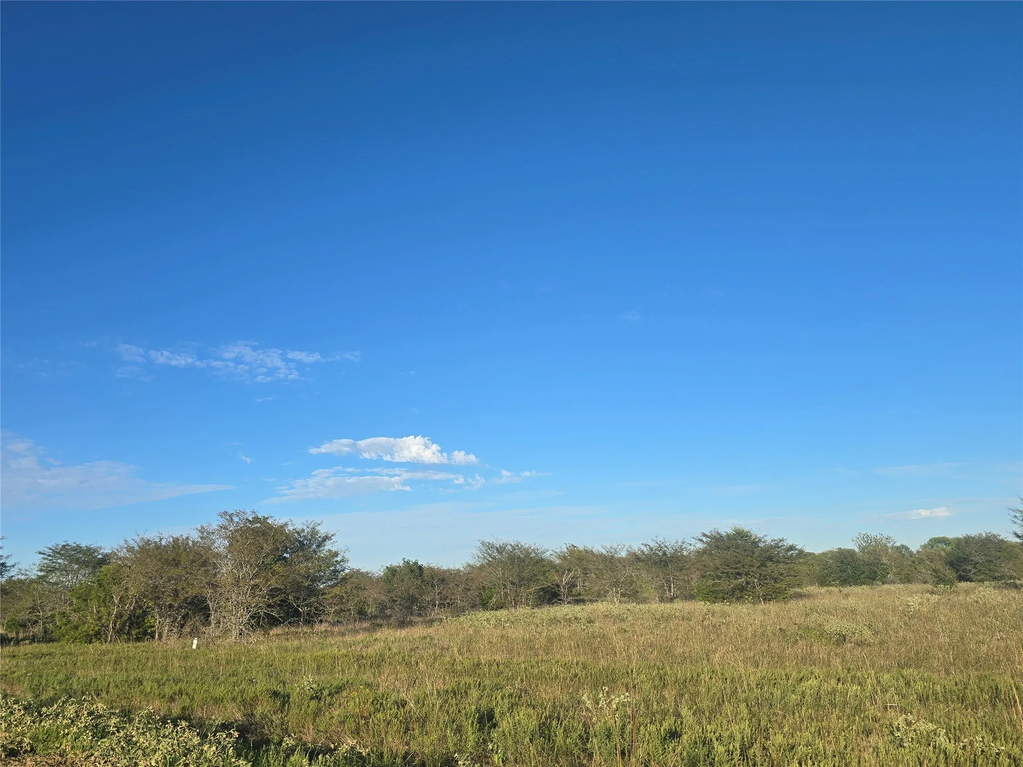 Unimproved Land For Sale in Van Zandt County , 1717 Channing Lane, Wills Point, Texas 75169, 0, 0, Garage spaces, 0 Sqft, built in 0, mls#21420439, Real Estate Agent in Wills Point, Homes For Sale in Van Zandt county, Homes For Sale in Wills Point, Realtor in Wills Point Texas, Real Estate Brokerage Independent Realty Texas, Luminita Cordes Realtor