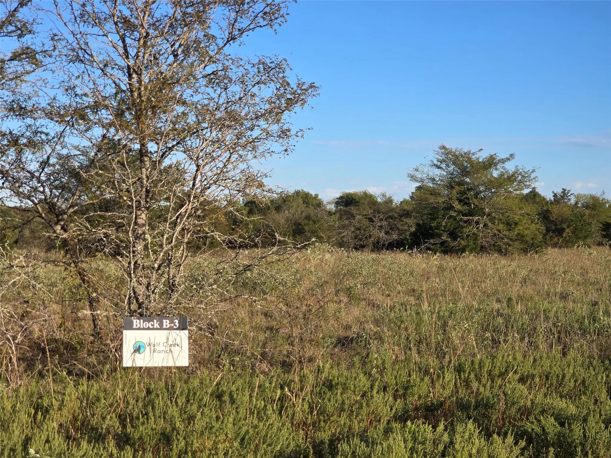 Unimproved Land For Sale in Van Zandt County , 1717 Channing Lane, Wills Point, Texas 75169, 0, 0, Garage spaces, 0 Sqft, built in 0, mls#21420439, Real Estate Agent in Wills Point, Homes For Sale in Van Zandt county, Homes For Sale in Wills Point, Realtor in Wills Point Texas, Real Estate Brokerage Independent Realty Texas, Luminita Cordes Realtor