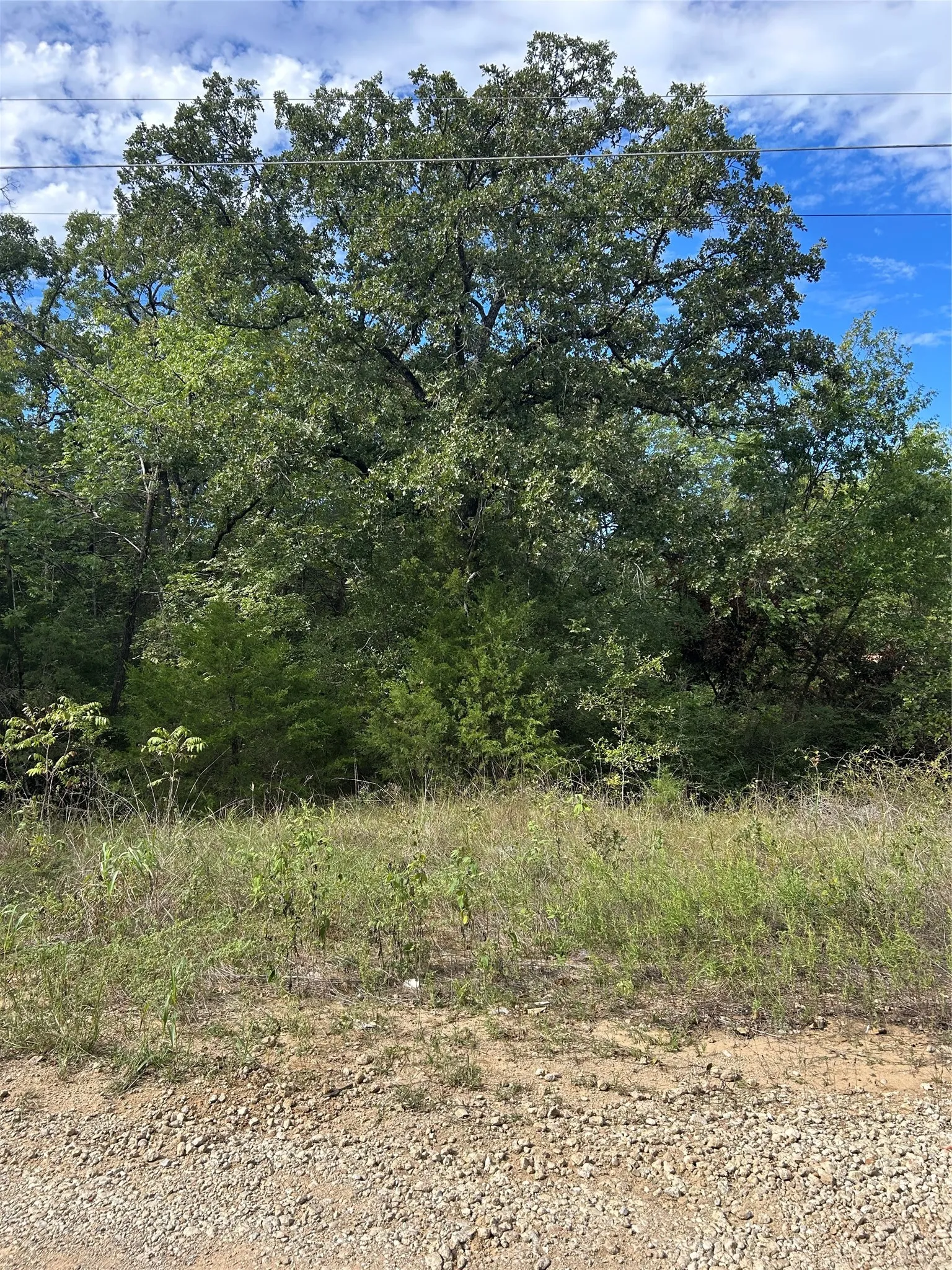 Improved Land For Sale in Henderson County , 0 Zuni, Mabank, Texas 75156, 0, 0, Garage spaces, 0 Sqft, built in 0, mls#21418873, Real Estate Agent in Mabank, Homes For Sale in Henderson county, Homes For Sale in Mabank, Realtor in Mabank Texas, Real Estate Brokerage Independent Realty Texas, Luminita Cordes Realtor
