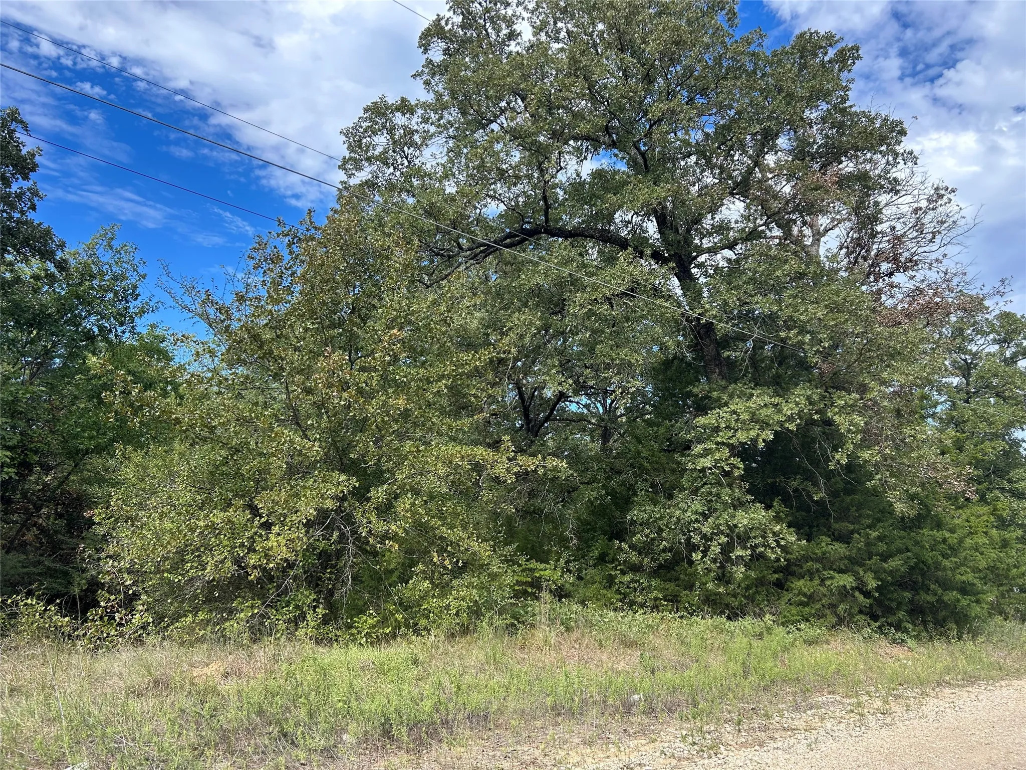 Improved Land For Sale