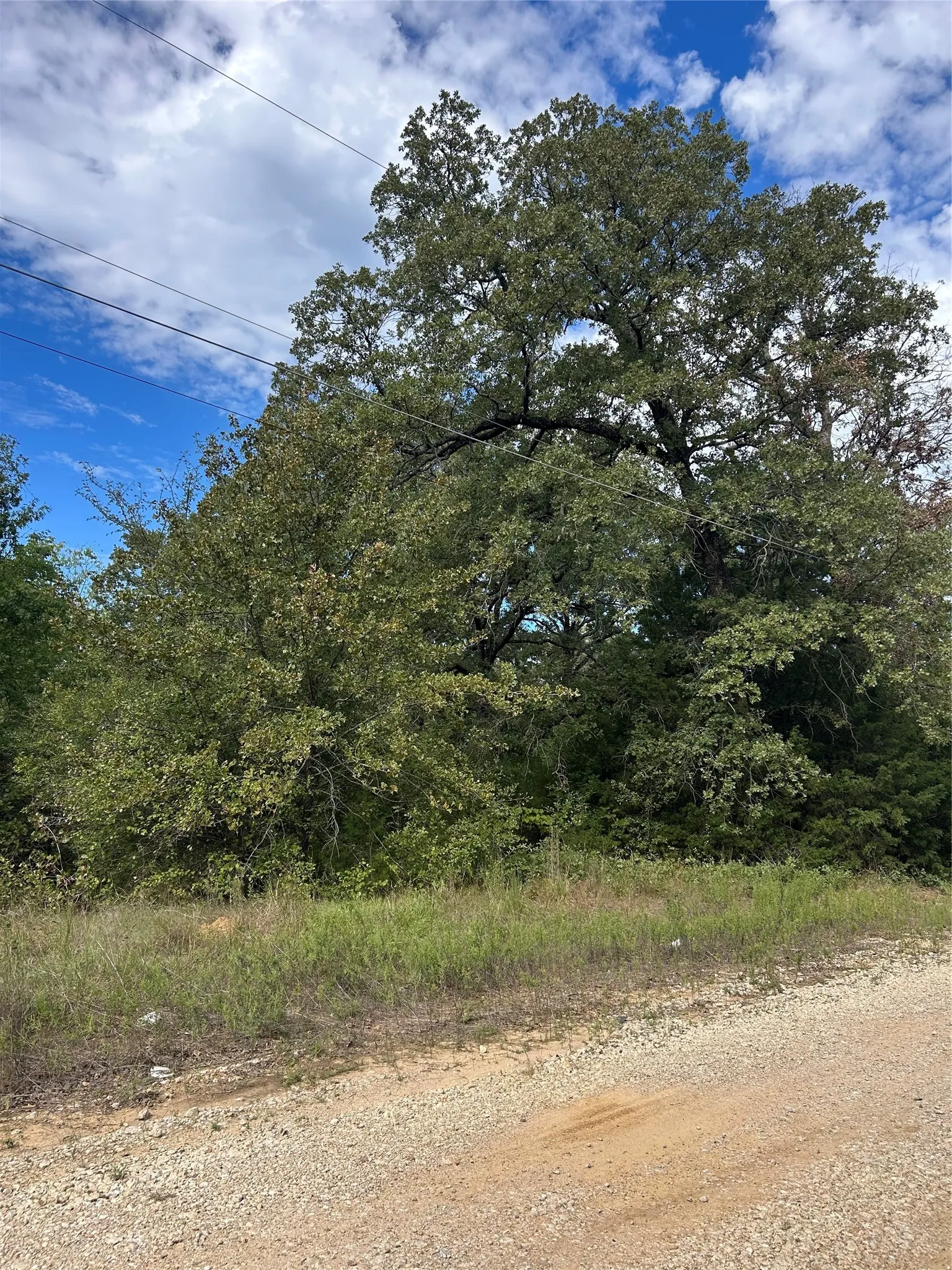 Improved Land For Sale in Henderson County , 0 Zuni, Mabank, Texas 75156, 0, 0, Garage spaces, 0 Sqft, built in 0, mls#21418873, Real Estate Agent in Mabank, Homes For Sale in Henderson county, Homes For Sale in Mabank, Realtor in Mabank Texas, Real Estate Brokerage Independent Realty Texas, Luminita Cordes Realtor