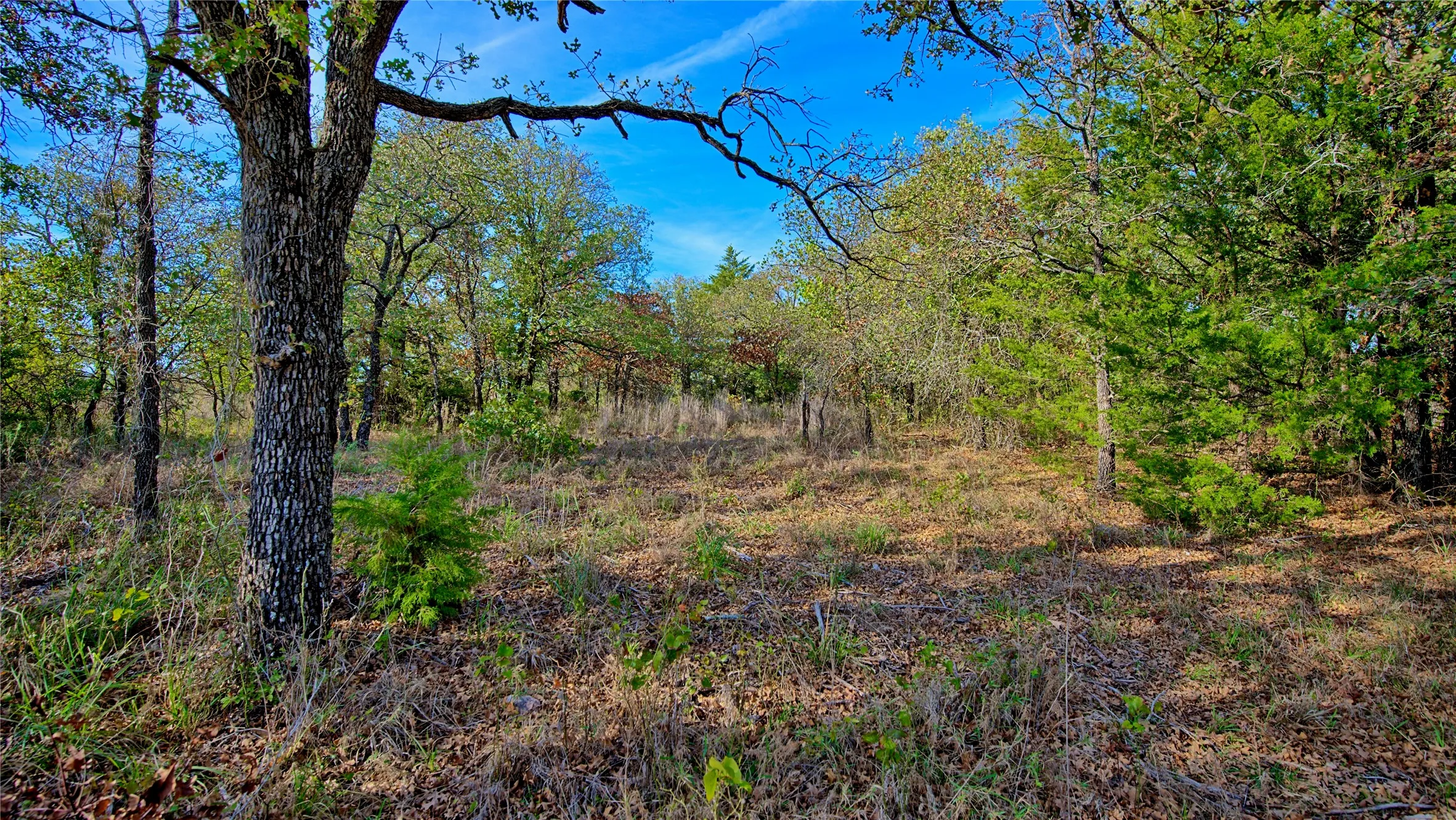 Unimproved Land For Sale in Montague County , Lot 77 Red Oak Hills Road, Nocona, Texas 76255, 0, 0, Garage spaces, 0 Sqft, built in 0, mls#21420809, Real Estate Agent in Nocona, Homes For Sale in Montague county, Homes For Sale in Nocona, Realtor in Nocona Texas, Real Estate Brokerage Independent Realty Texas, Luminita Cordes Realtor
