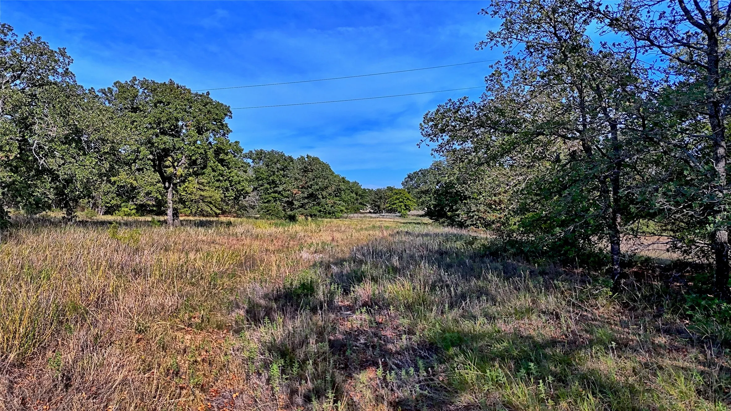 Unimproved Land For Sale in Montague County , Lot 77 Red Oak Hills Road, Nocona, Texas 76255, 0, 0, Garage spaces, 0 Sqft, built in 0, mls#21420809, Real Estate Agent in Nocona, Homes For Sale in Montague county, Homes For Sale in Nocona, Realtor in Nocona Texas, Real Estate Brokerage Independent Realty Texas, Luminita Cordes Realtor