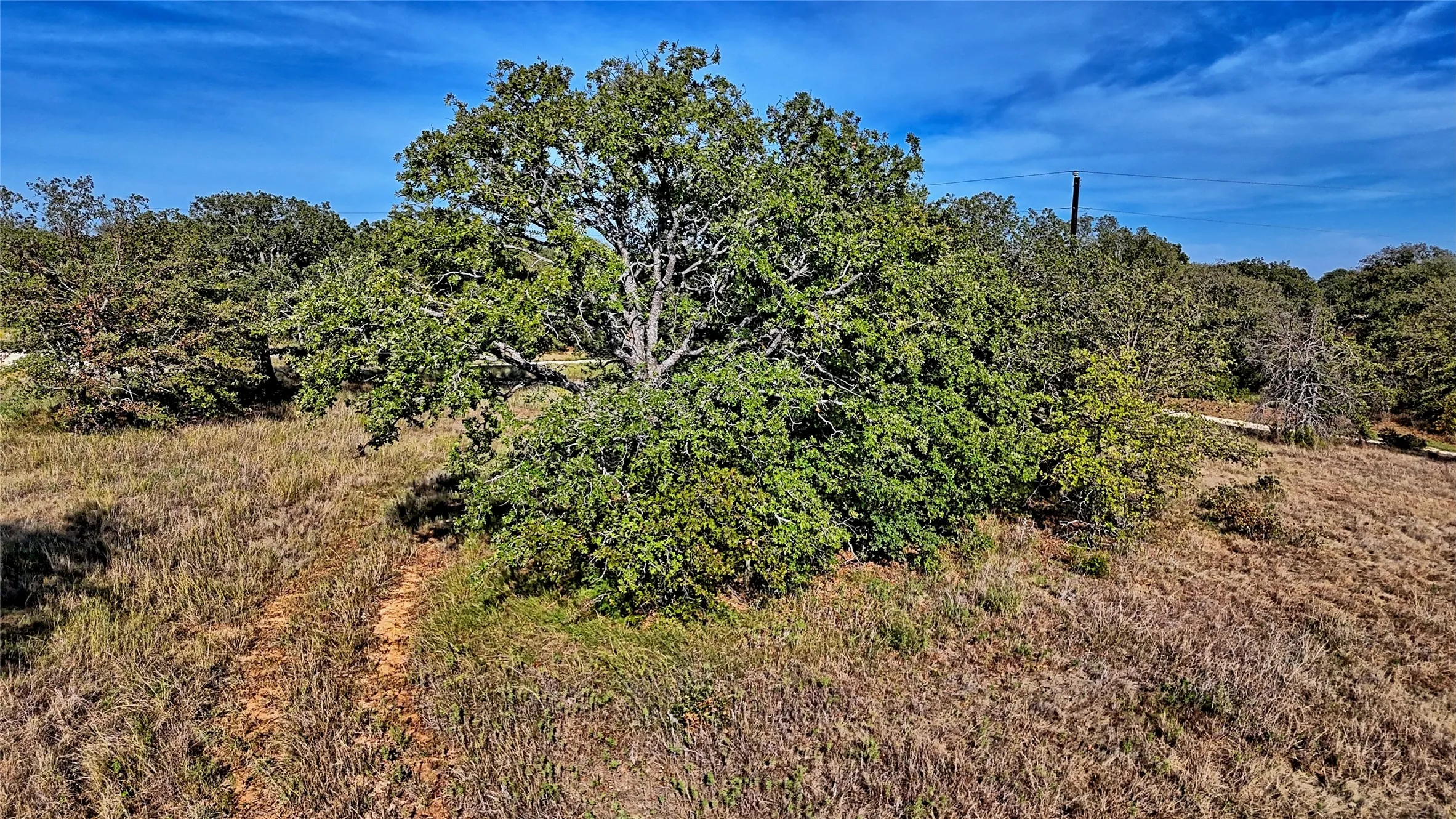Unimproved Land For Sale in Montague County , Lot 77 Red Oak Hills Road, Nocona, Texas 76255, 0, 0, Garage spaces, 0 Sqft, built in 0, mls#21420809, Real Estate Agent in Nocona, Homes For Sale in Montague county, Homes For Sale in Nocona, Realtor in Nocona Texas, Real Estate Brokerage Independent Realty Texas, Luminita Cordes Realtor