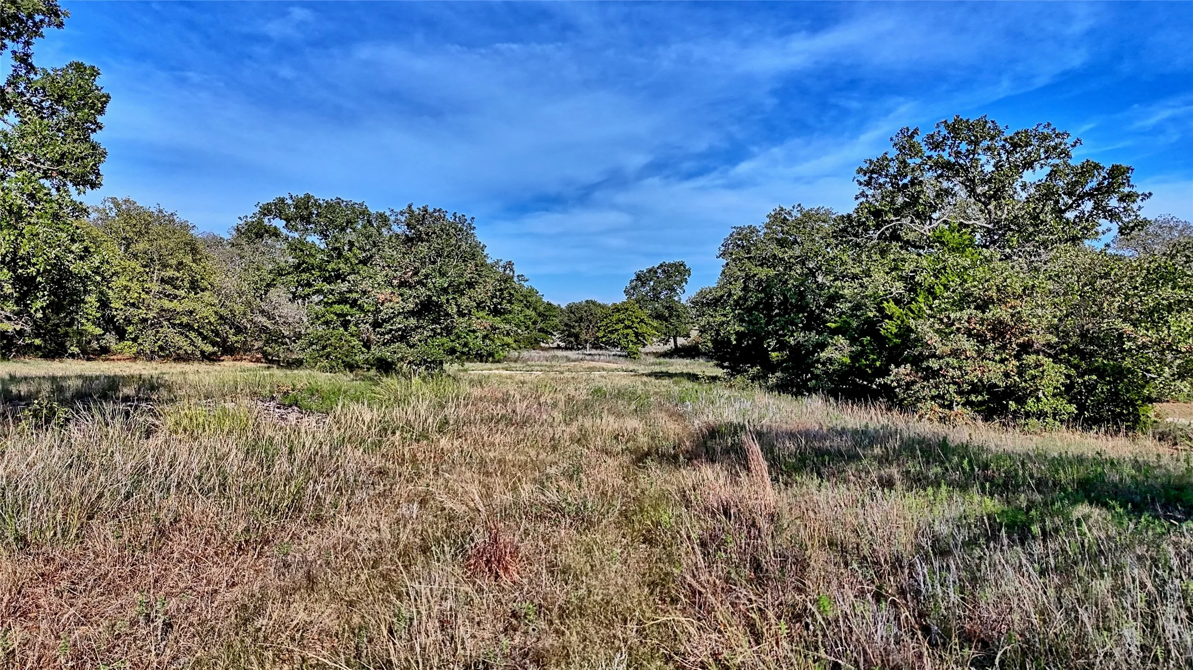 Unimproved Land For Sale in Montague County , Lot 77 Red Oak Hills Road, Nocona, Texas 76255, 0, 0, Garage spaces, 0 Sqft, built in 0, mls#21420809, Real Estate Agent in Nocona, Homes For Sale in Montague county, Homes For Sale in Nocona, Realtor in Nocona Texas, Real Estate Brokerage Independent Realty Texas, Luminita Cordes Realtor