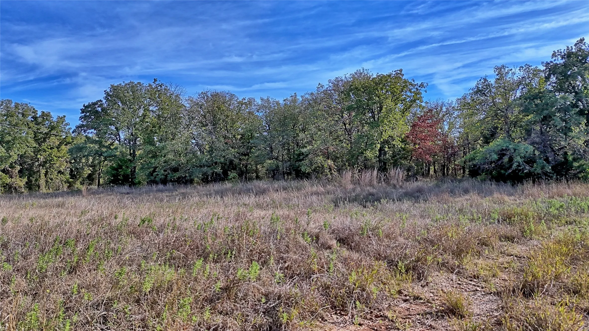 Unimproved Land For Sale in Montague County , Lot 77 Red Oak Hills Road, Nocona, Texas 76255, 0, 0, Garage spaces, 0 Sqft, built in 0, mls#21420809, Real Estate Agent in Nocona, Homes For Sale in Montague county, Homes For Sale in Nocona, Realtor in Nocona Texas, Real Estate Brokerage Independent Realty Texas, Luminita Cordes Realtor