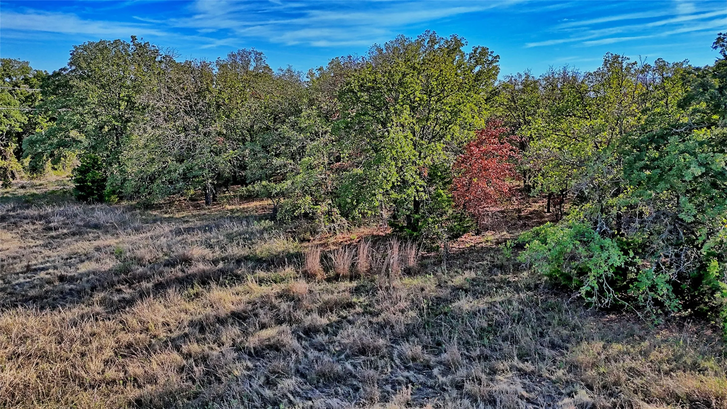 Unimproved Land For Sale in Montague County , Lot 77 Red Oak Hills Road, Nocona, Texas 76255, 0, 0, Garage spaces, 0 Sqft, built in 0, mls#21420809, Real Estate Agent in Nocona, Homes For Sale in Montague county, Homes For Sale in Nocona, Realtor in Nocona Texas, Real Estate Brokerage Independent Realty Texas, Luminita Cordes Realtor
