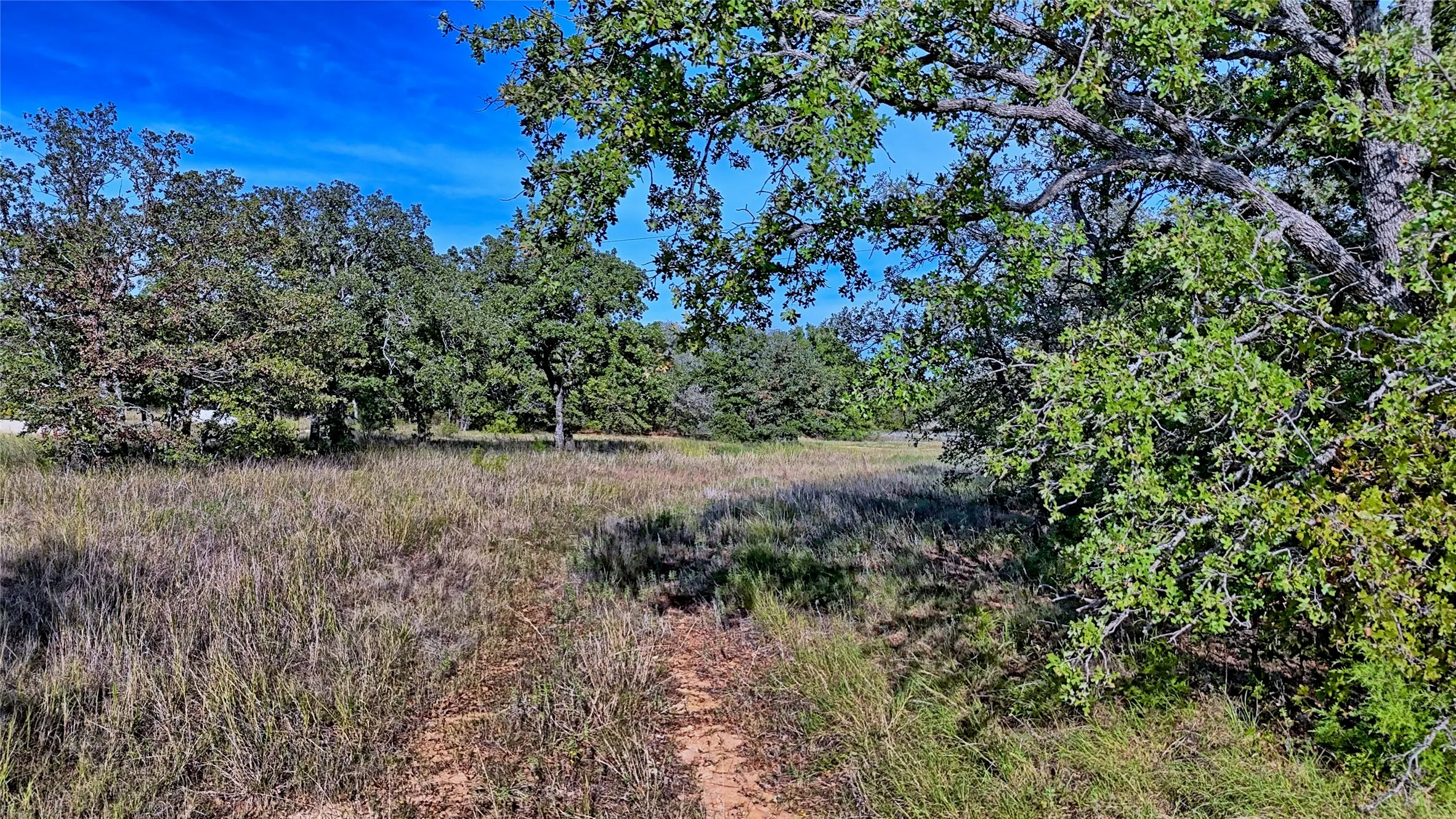 Unimproved Land For Sale in Montague County , Lot 77 Red Oak Hills Road, Nocona, Texas 76255, 0, 0, Garage spaces, 0 Sqft, built in 0, mls#21420809, Real Estate Agent in Nocona, Homes For Sale in Montague county, Homes For Sale in Nocona, Realtor in Nocona Texas, Real Estate Brokerage Independent Realty Texas, Luminita Cordes Realtor