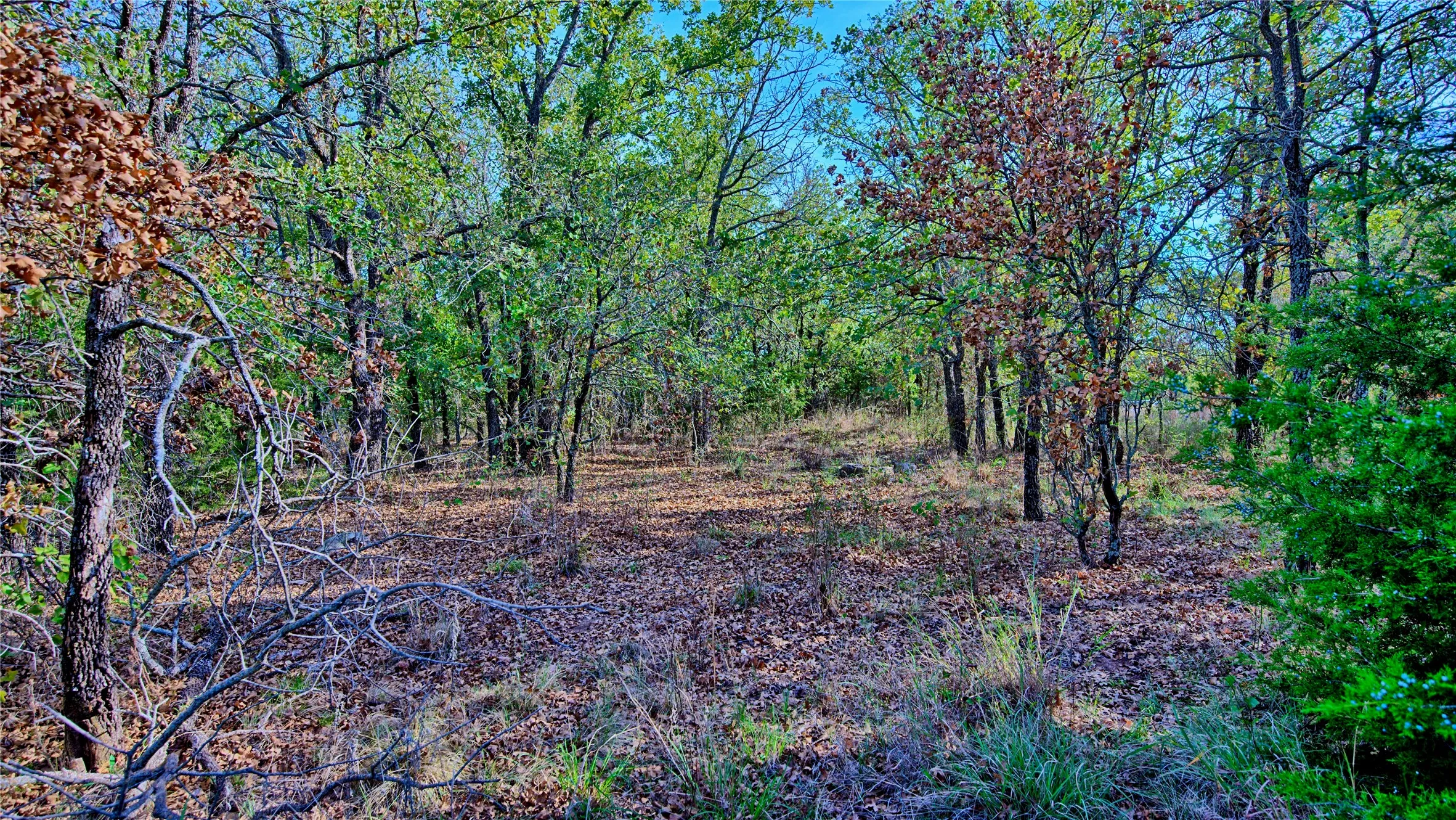 Unimproved Land For Sale in Montague County , Lot 77 Red Oak Hills Road, Nocona, Texas 76255, 0, 0, Garage spaces, 0 Sqft, built in 0, mls#21420809, Real Estate Agent in Nocona, Homes For Sale in Montague county, Homes For Sale in Nocona, Realtor in Nocona Texas, Real Estate Brokerage Independent Realty Texas, Luminita Cordes Realtor