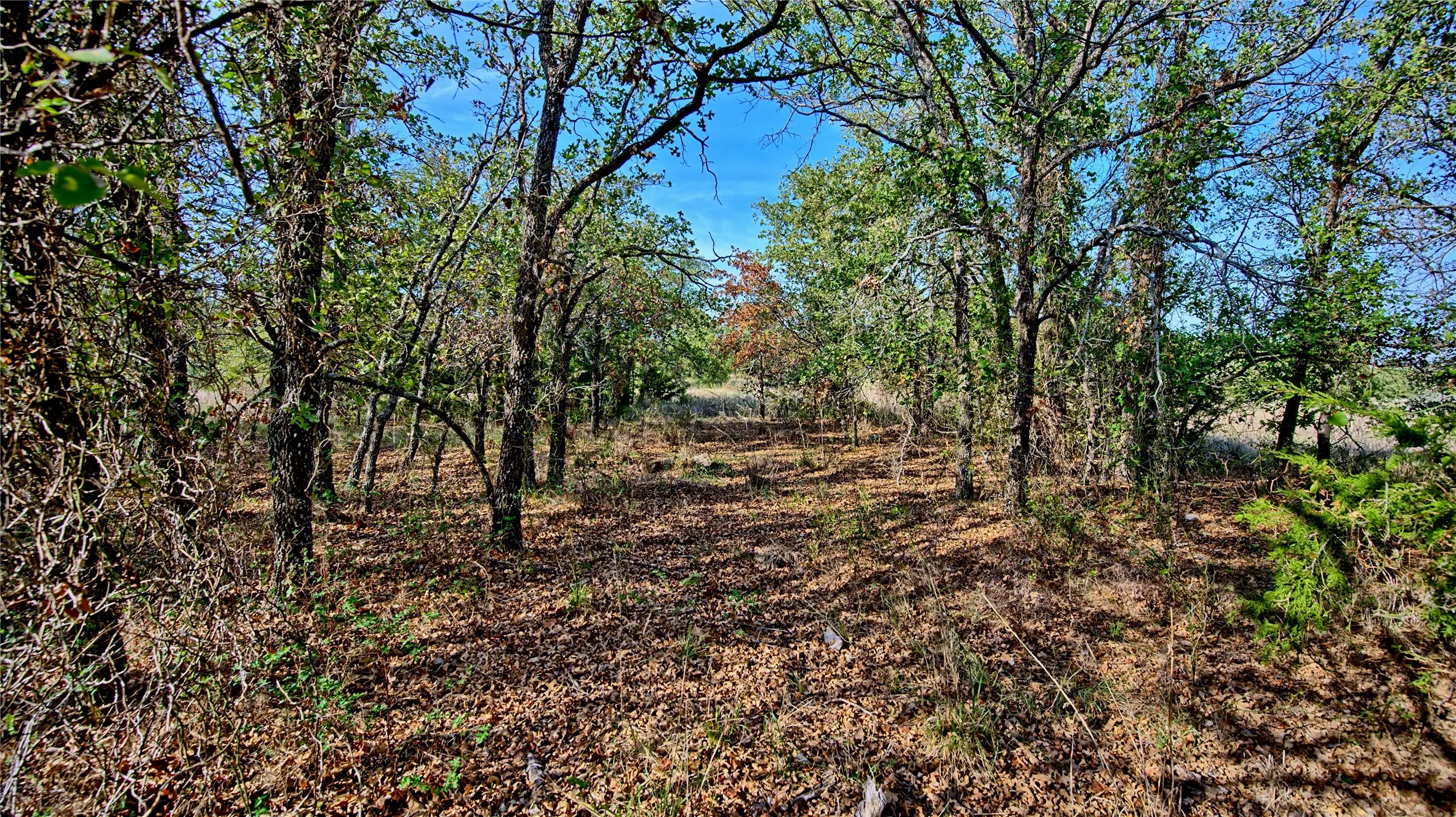 Unimproved Land For Sale in Montague County , Lot 77 Red Oak Hills Road, Nocona, Texas 76255, 0, 0, Garage spaces, 0 Sqft, built in 0, mls#21420809, Real Estate Agent in Nocona, Homes For Sale in Montague county, Homes For Sale in Nocona, Realtor in Nocona Texas, Real Estate Brokerage Independent Realty Texas, Luminita Cordes Realtor