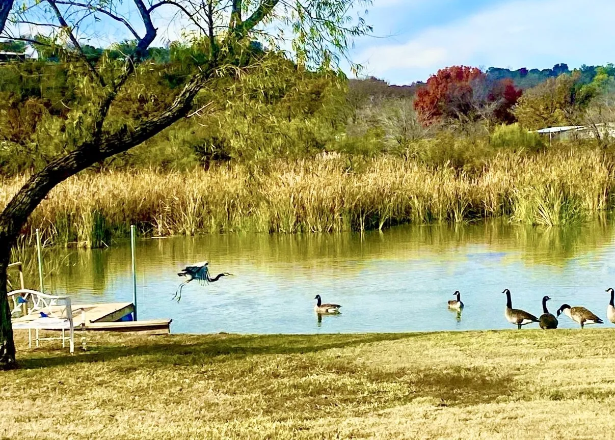 Serene & varied nature as far as you can see