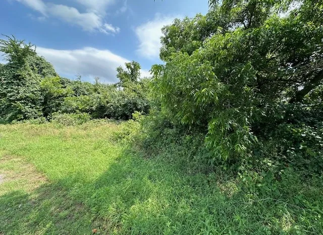 Improved Land For Sale in Hood County , 1633 Rockview Drive, Granbury, Texas 76049, 0, 0, Garage spaces, 0 Sqft, built in 0, mls#21420842, Real Estate Agent in Granbury, Homes For Sale in Hood county, Homes For Sale in Granbury, Realtor in Granbury Texas, Real Estate Brokerage Independent Realty Texas, Luminita Cordes Realtor