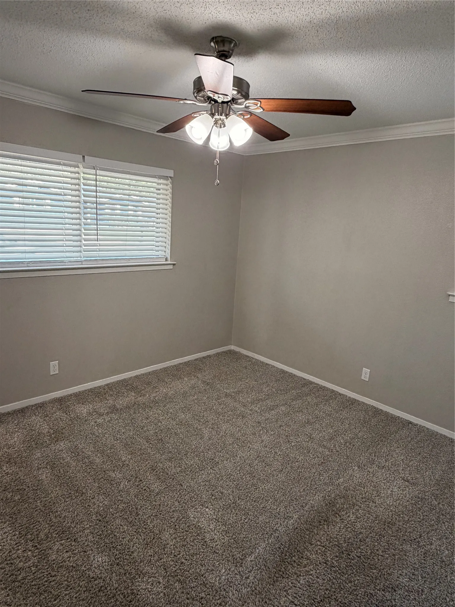Single Family Residence For Rent in Tarrant County , 725 Willow Street, Hurst, Texas 76053, 4 Bedroom, 2 Bathroom, 2 Garage spaces, 1,423 Sqft, built in 1963, mls#21420978, Real Estate Agent in Hurst, Homes For Rent in Tarrant county, Homes For Rent in Hurst, Realtor in Hurst Texas, Real Estate Brokerage Independent Realty Texas, Luminita Cordes Realtor