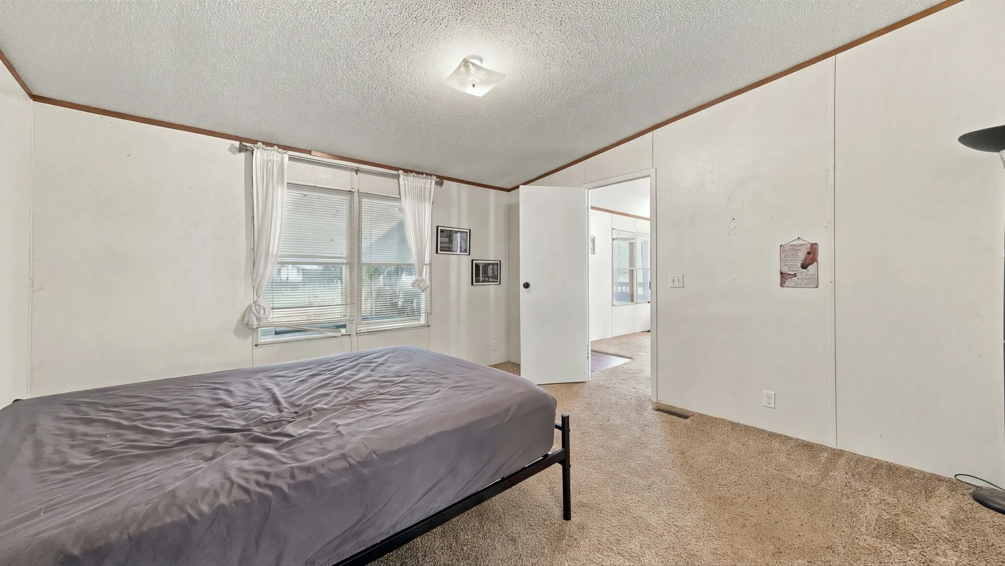 Interior space featuring panelled walls, textured ceiling, carpeted flooring, and a central flush-mount light fixture