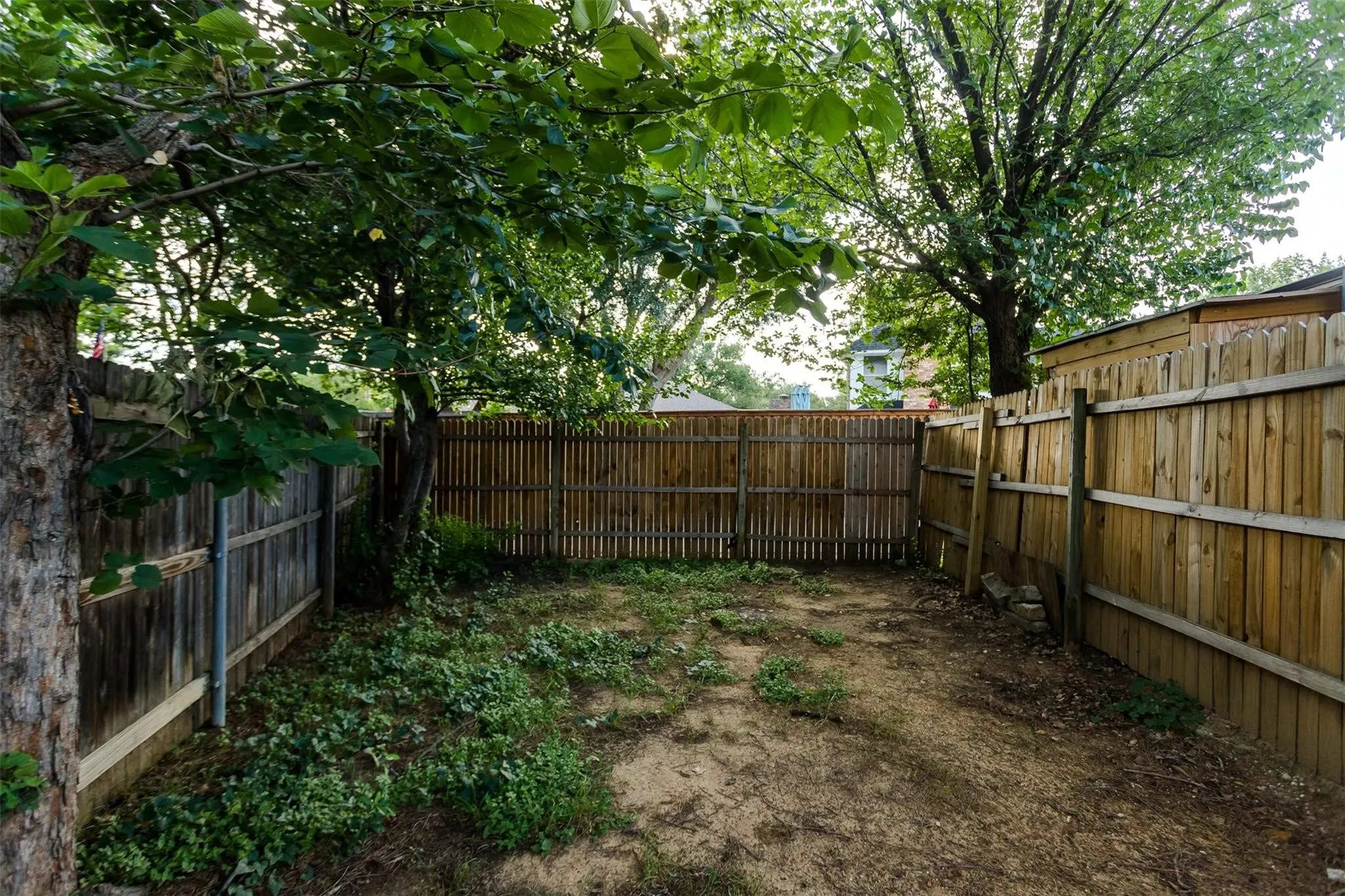 Small private back yard