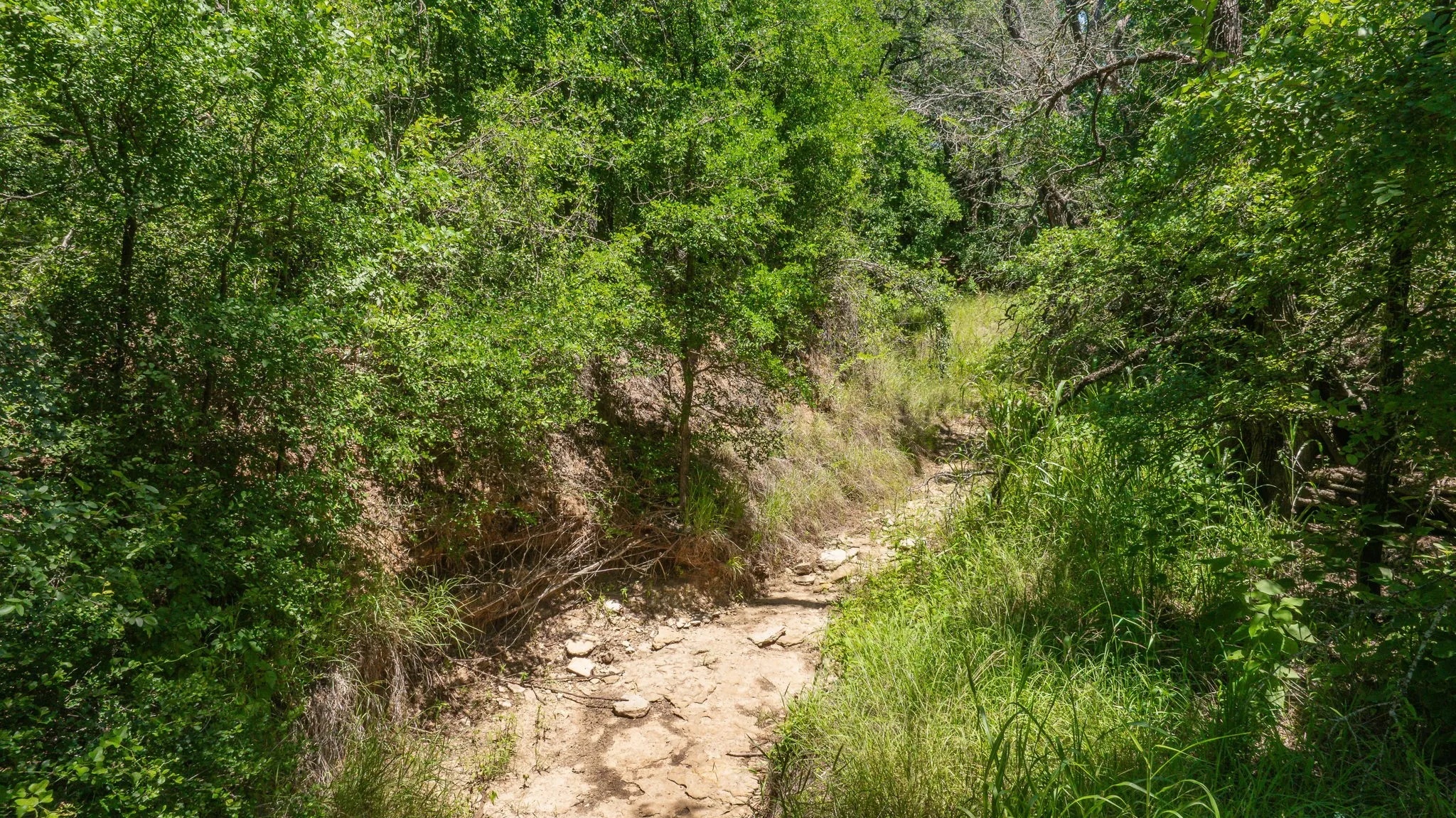 Unimproved Land For Sale in Erath County , TBD US HWY 281, Stephenville, Texas 76401, 0, 0, Garage spaces, 0 Sqft, built in 0, mls#21421242, Real Estate Agent in Stephenville, Homes For Sale in Erath county, Homes For Sale in Stephenville, Realtor in Stephenville Texas, Real Estate Brokerage Independent Realty Texas, Luminita Cordes Realtor