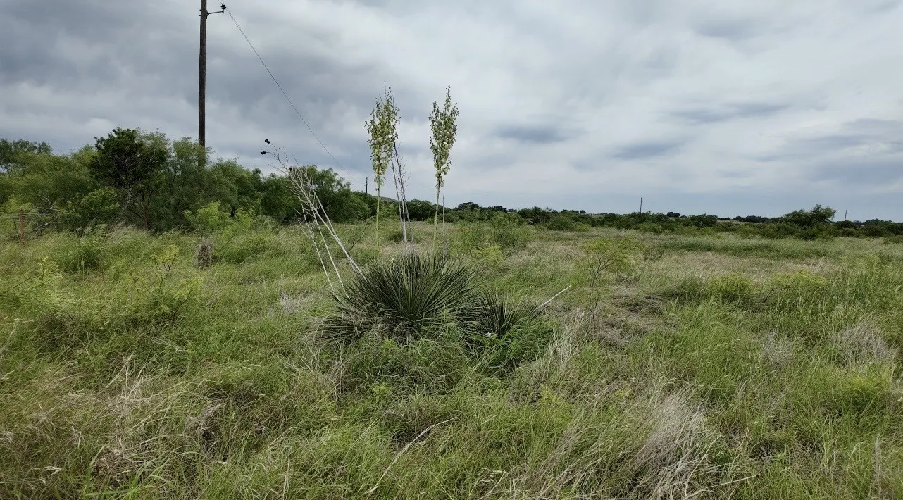 Mobile Home For Sale in Mc Culloch County , 2315 CR 472, Rochelle, Texas 76872, 5 Bedroom, 3 Bathroom, Garage spaces, 2,063 Sqft, built in 2022, mls#21421284, Real Estate Agent in Rochelle, Homes For Sale in Mc Culloch county, Homes For Sale in Rochelle, Realtor in Rochelle Texas, Real Estate Brokerage Independent Realty Texas, Luminita Cordes Realtor