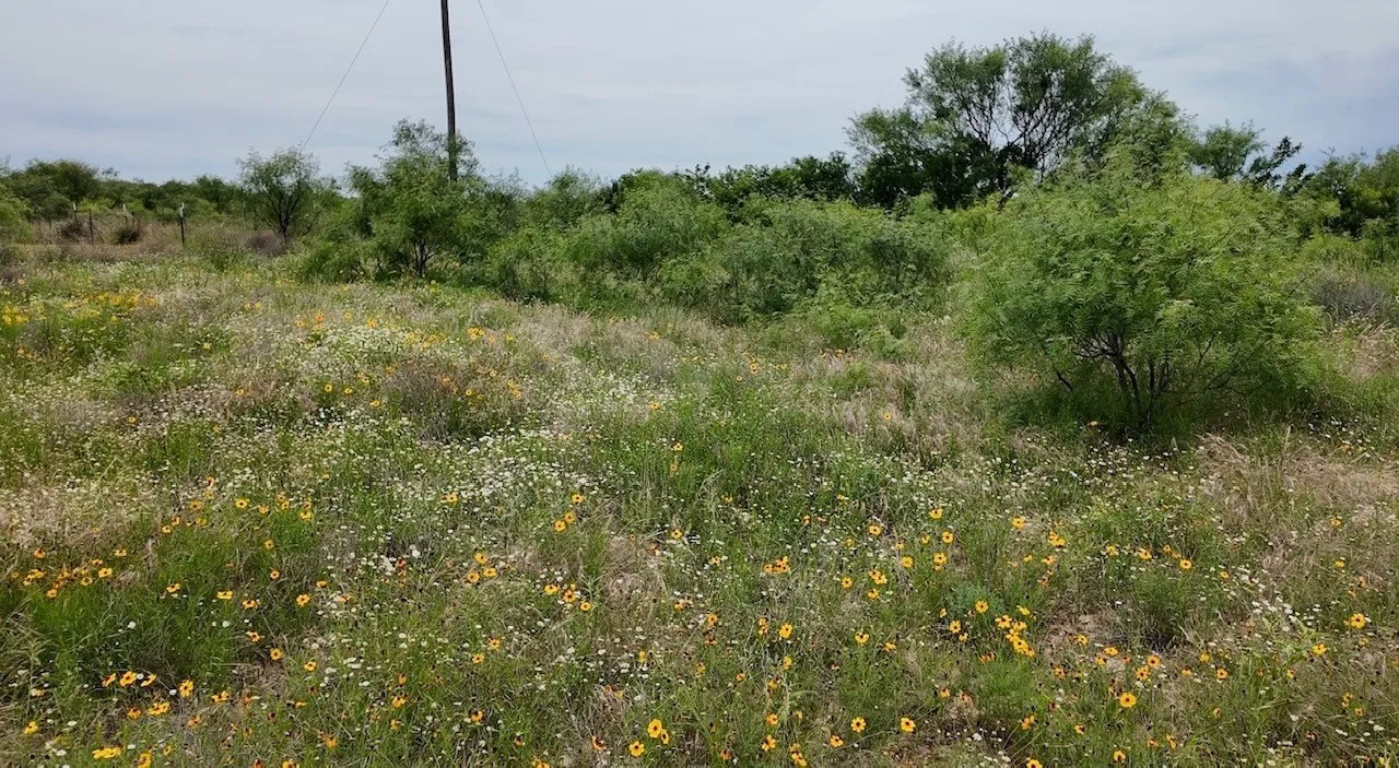 Mobile Home For Sale in Mc Culloch County , 2315 CR 472, Rochelle, Texas 76872, 5 Bedroom, 3 Bathroom, Garage spaces, 2,063 Sqft, built in 2022, mls#21421284, Real Estate Agent in Rochelle, Homes For Sale in Mc Culloch county, Homes For Sale in Rochelle, Realtor in Rochelle Texas, Real Estate Brokerage Independent Realty Texas, Luminita Cordes Realtor