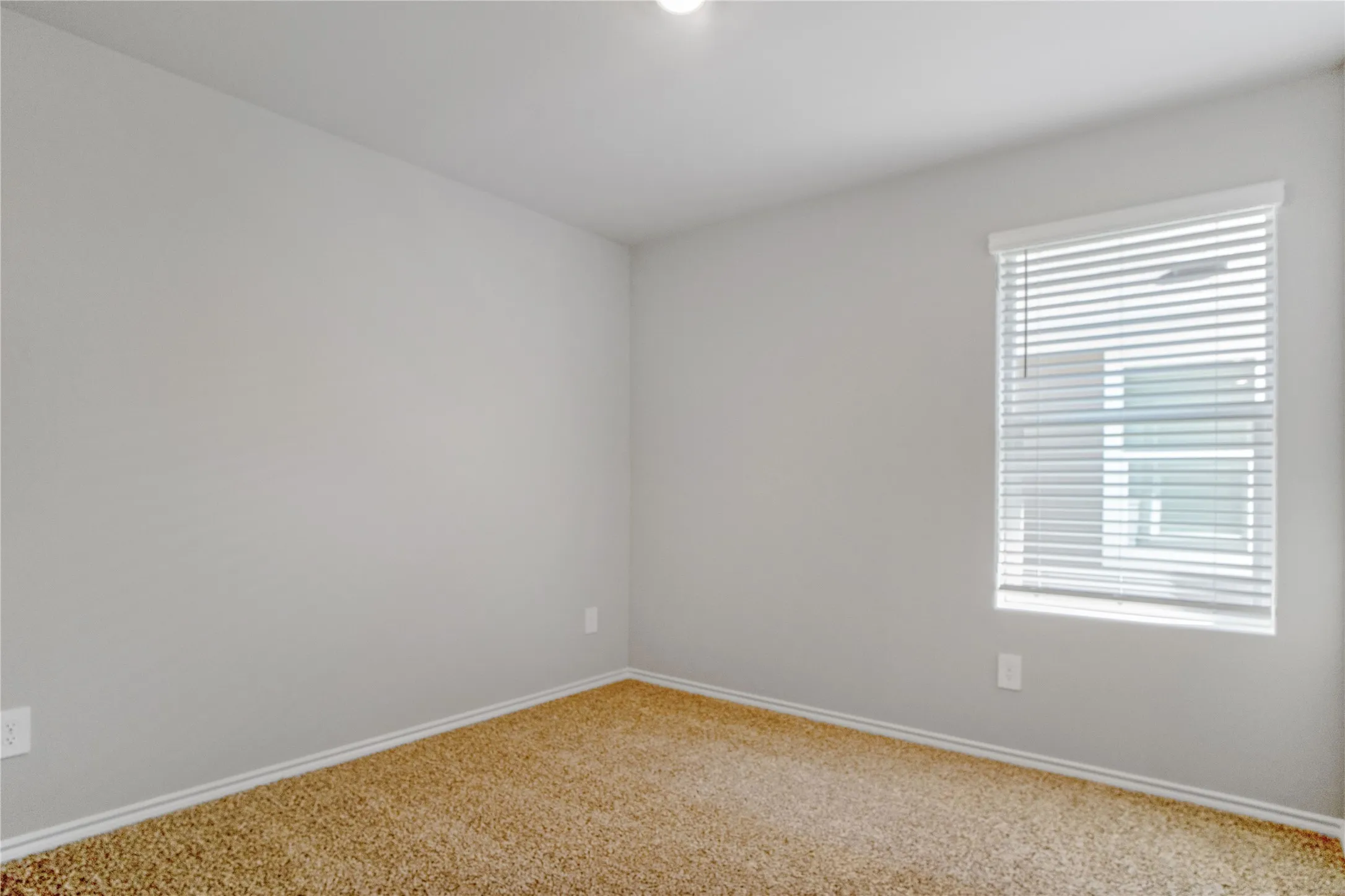 Neutral-toned interior room featuring wall-to-wall carpeting and a window equipped with horizontal blinds