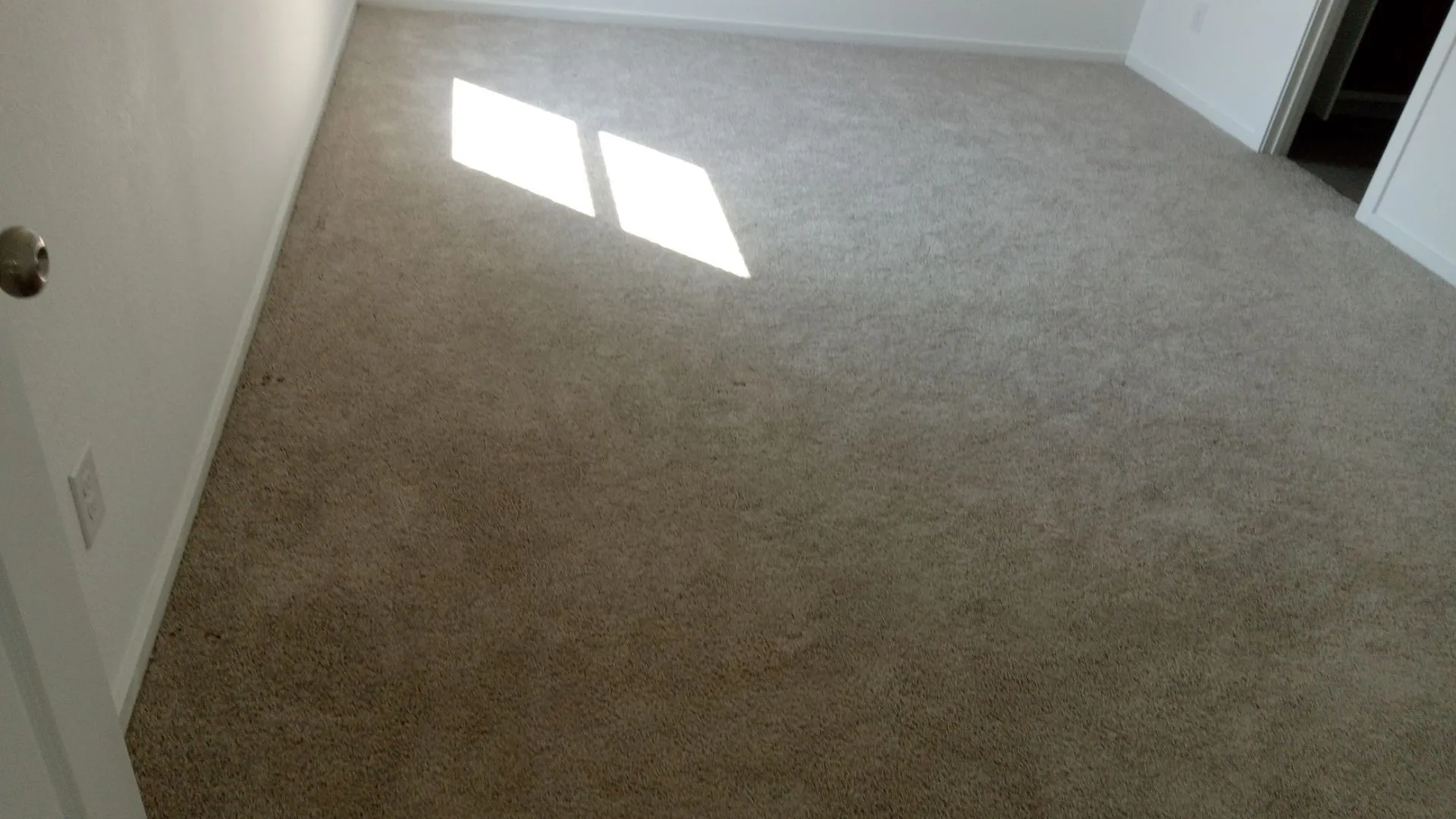 Neutral-toned wall-to-wall carpeting and crisp white interior paint
