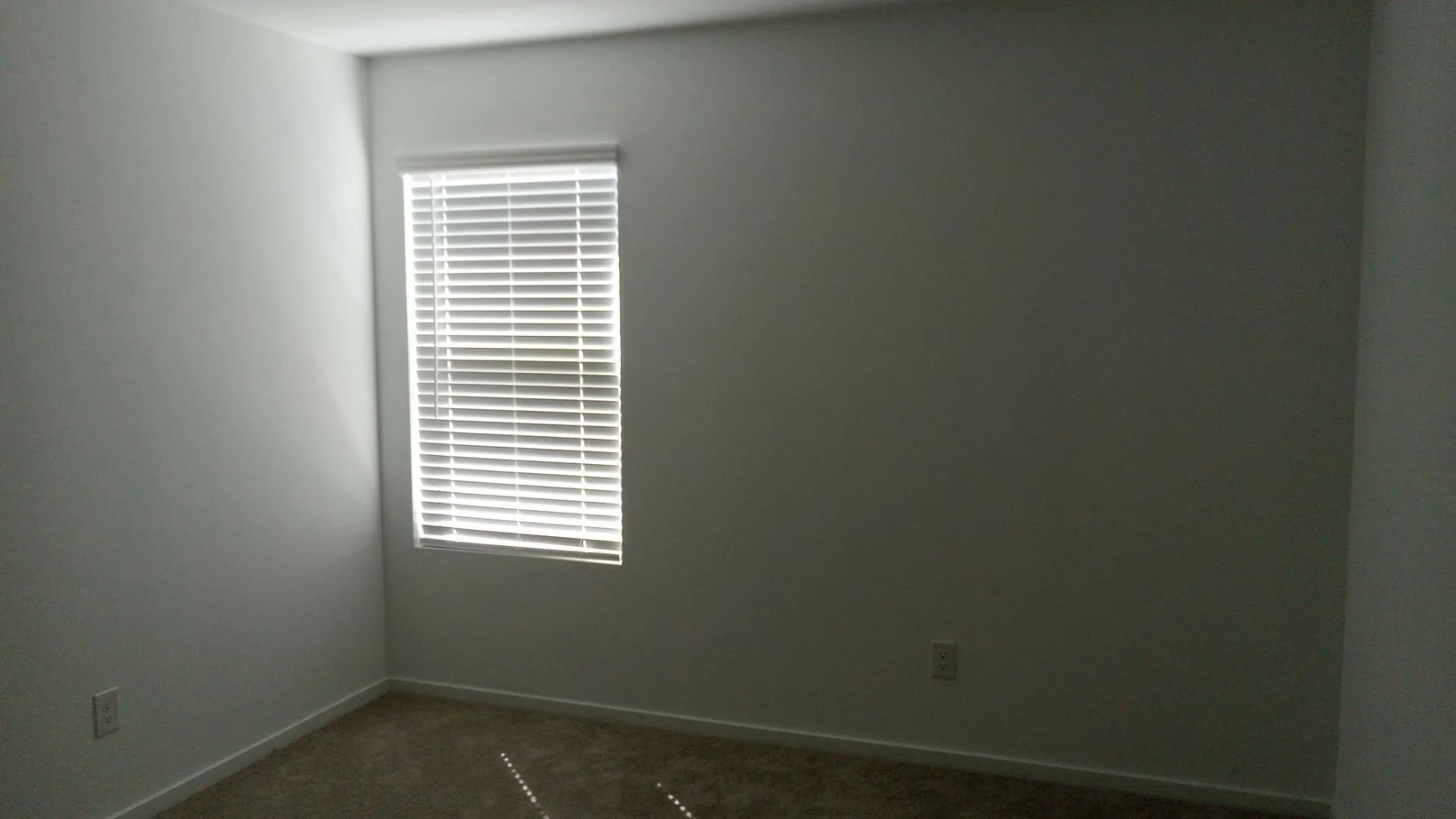 Neutral wall finishes, textured carpeting, and a window with horizontal blinds