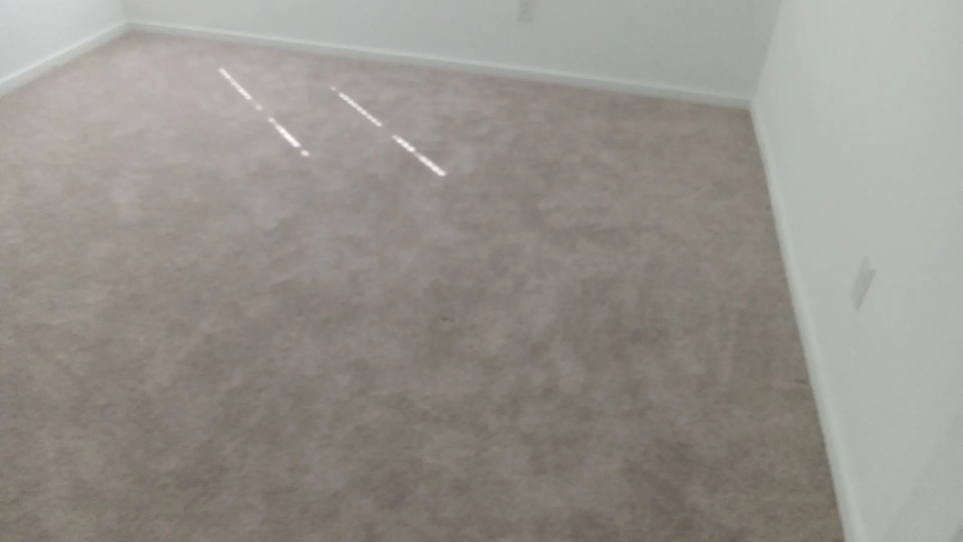 Neutral wall finishes and wall-to-wall carpeting