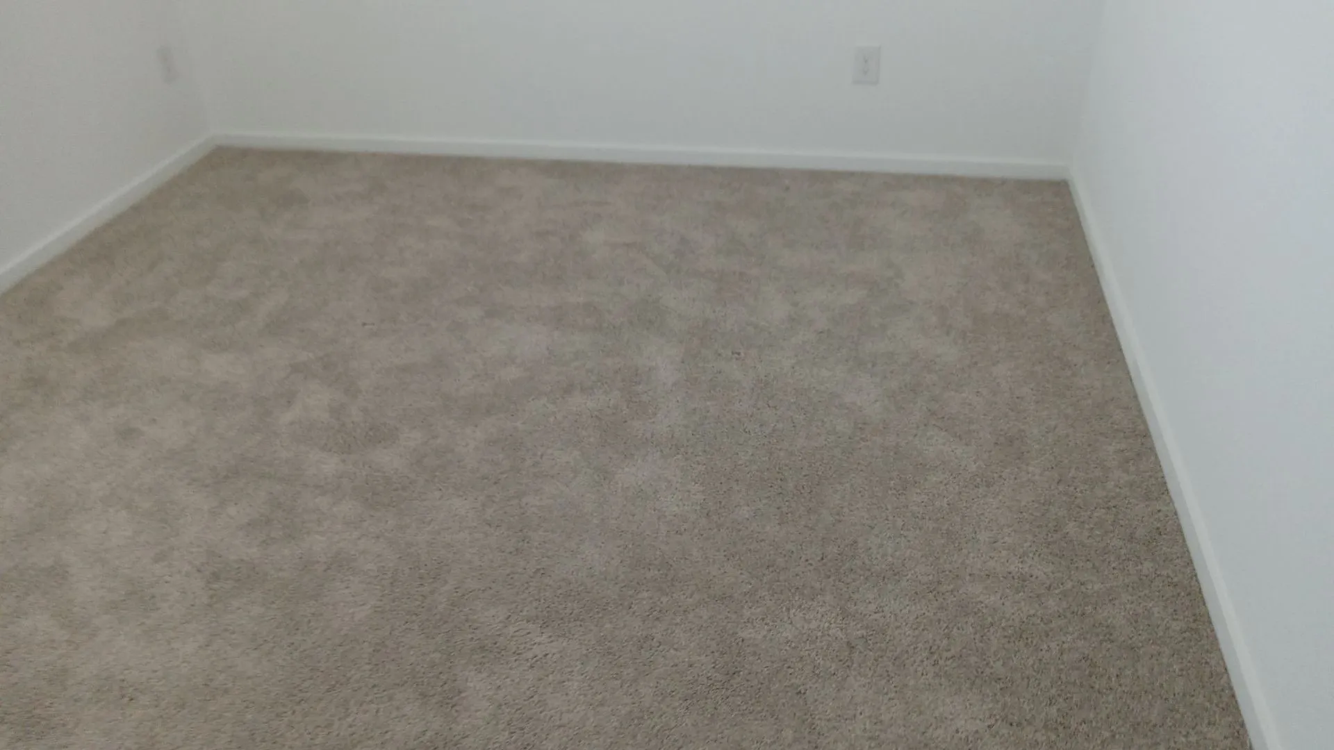 Neutral-toned wall-to-wall carpeting and crisp white wall finishes