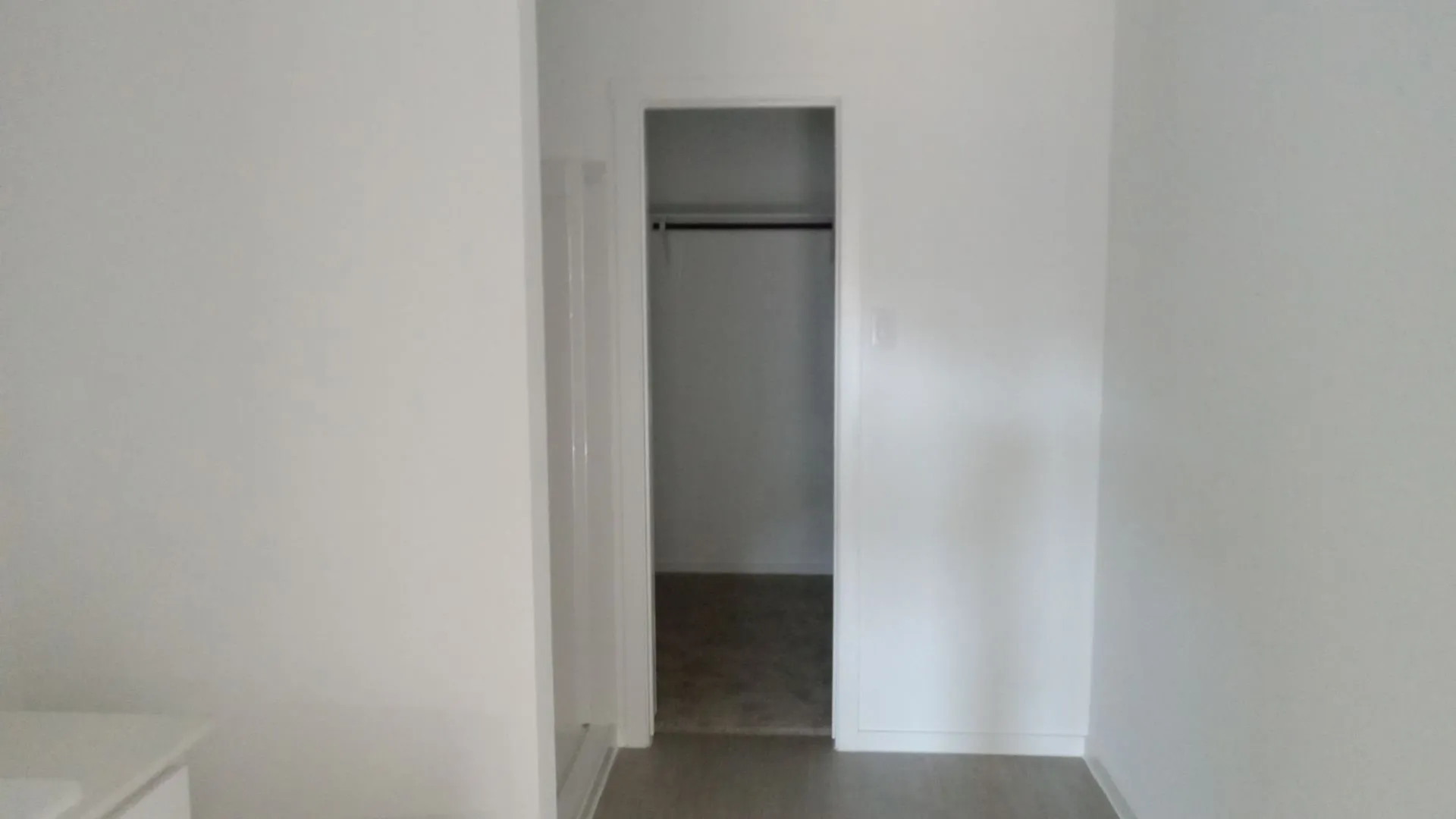 Walk-in closet featuring built-in shelving, carpeted flooring, and a mounted clothing rod