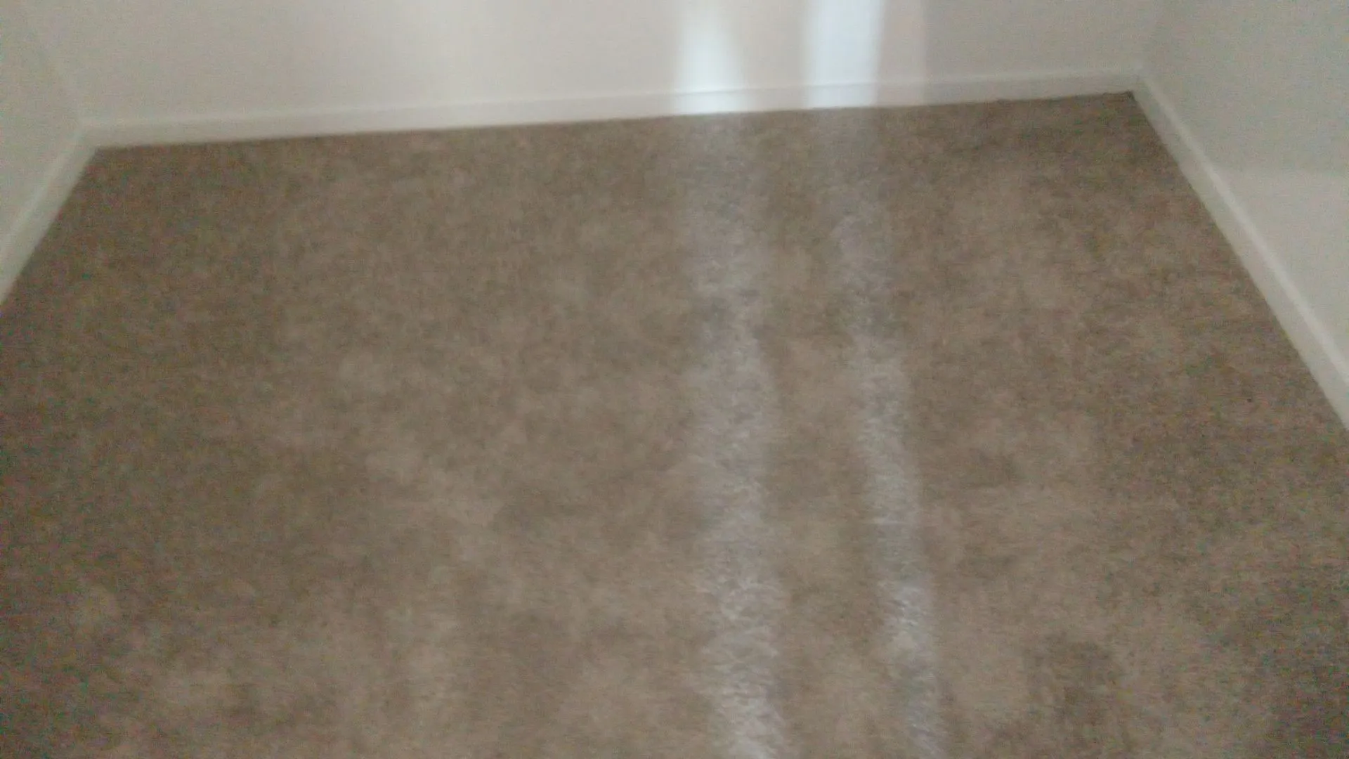 Neutral-toned wall-to-wall carpeting and crisp white interior paint
