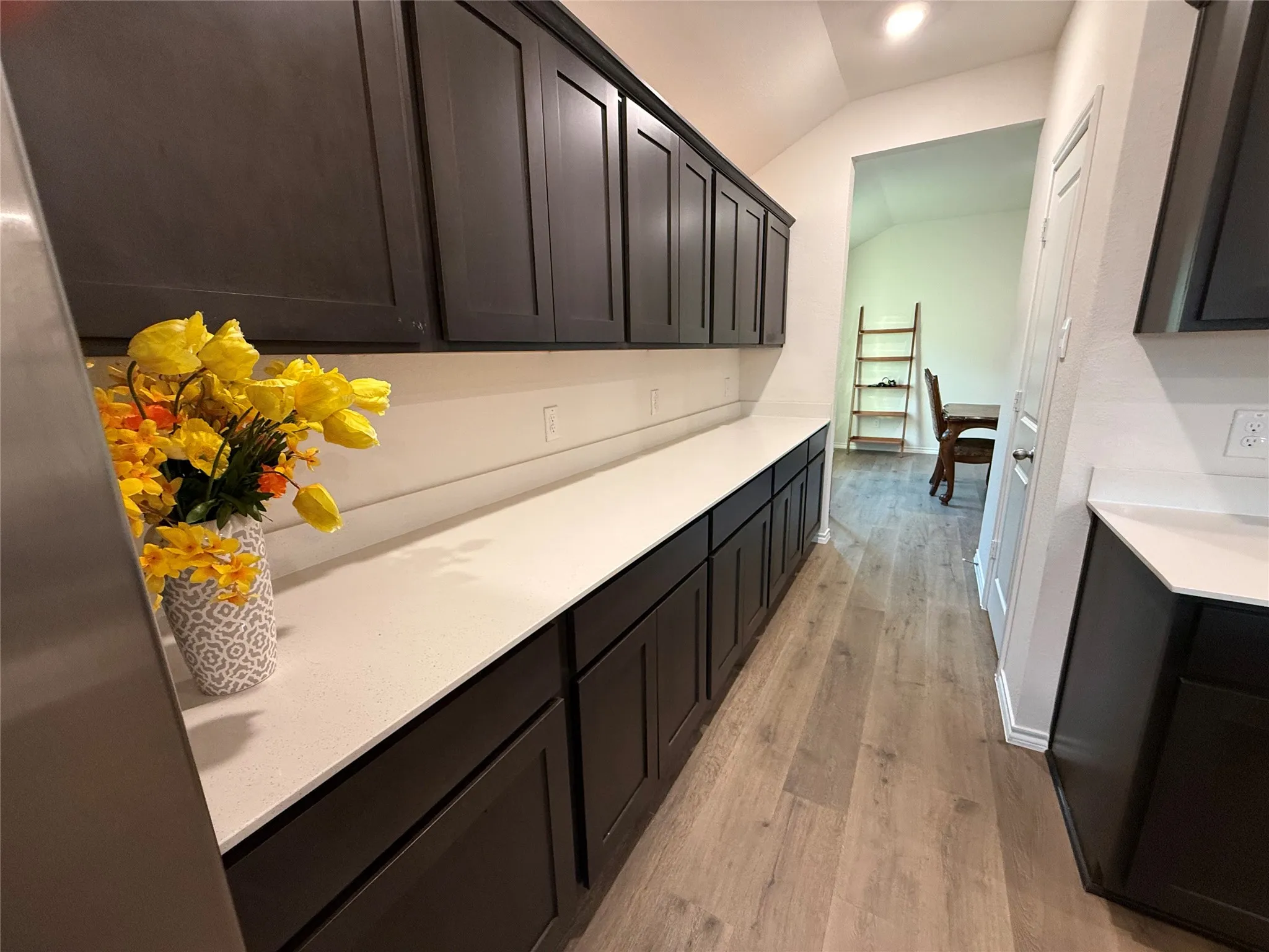 Lots of Extra Cabinets & Counter top