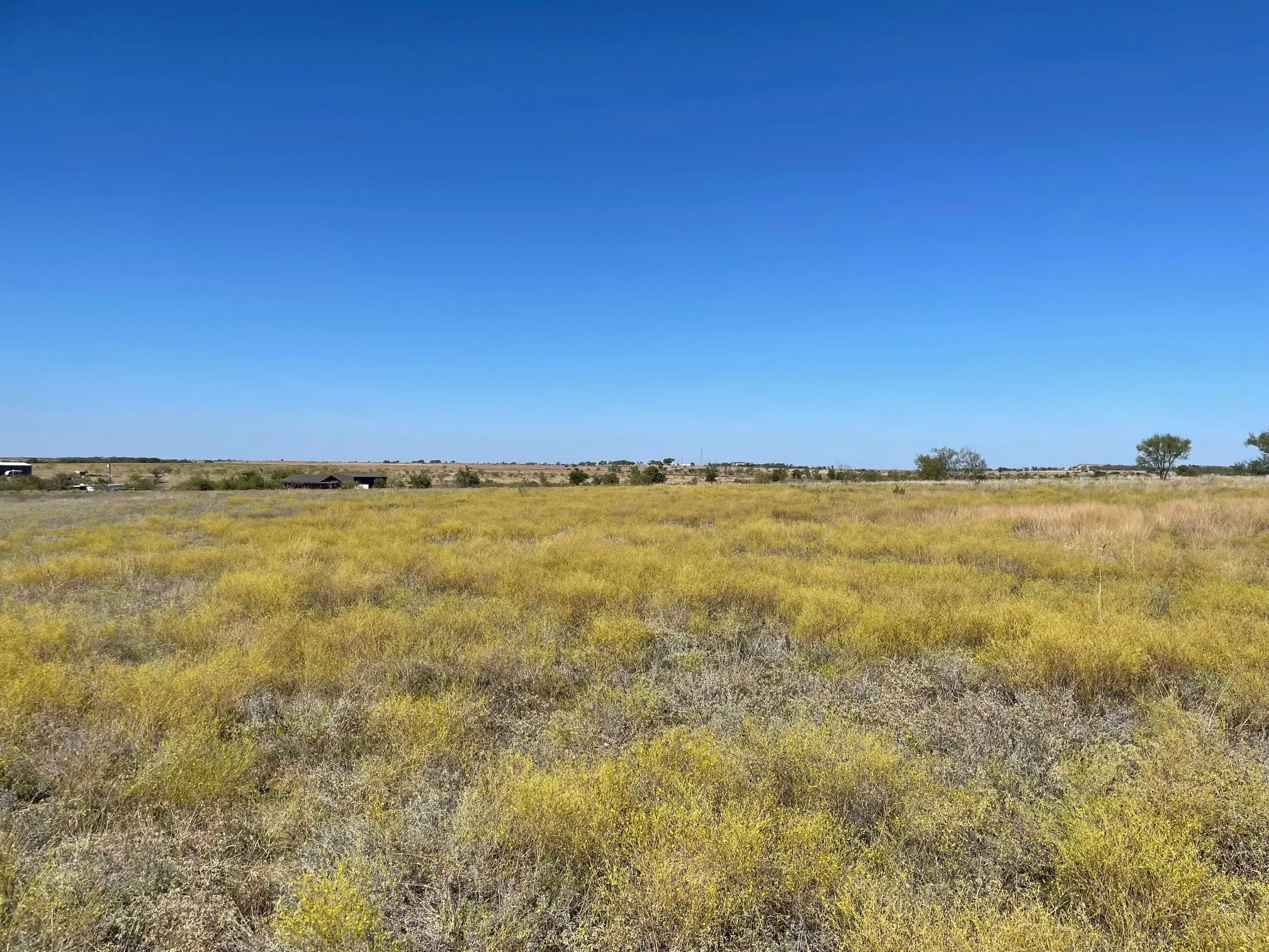 Expansive open acreage featuring native grasses and a level topography