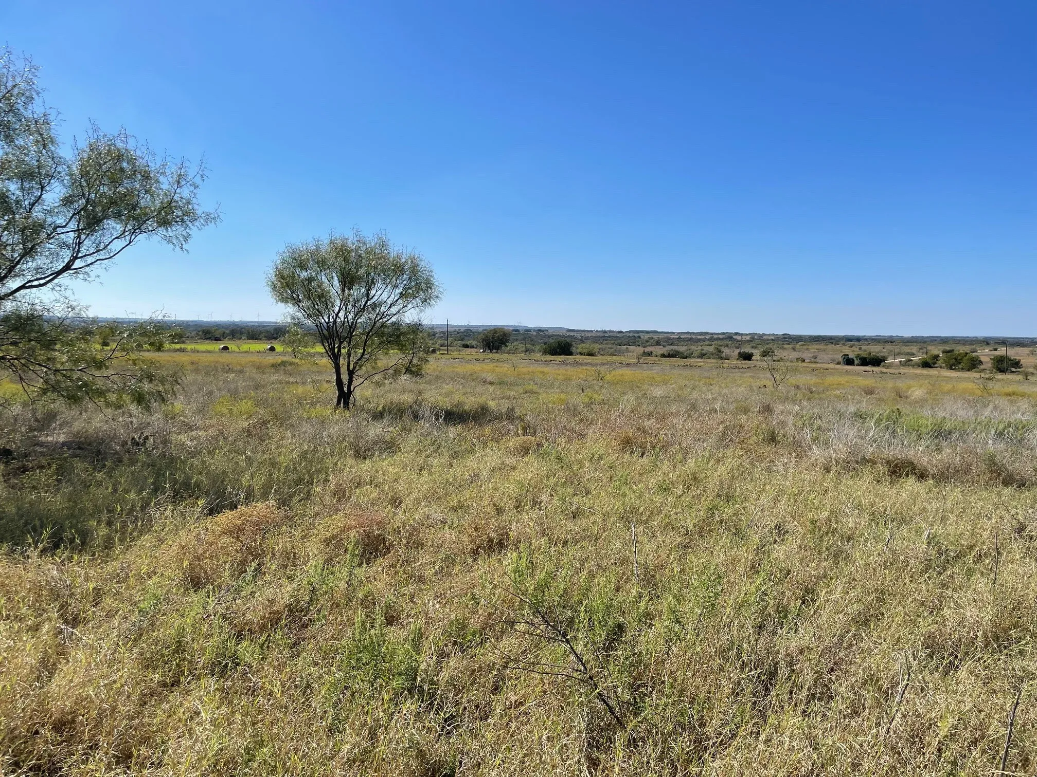 Expansive acreage featuring native grasses, scattered mature trees, and a level landscape