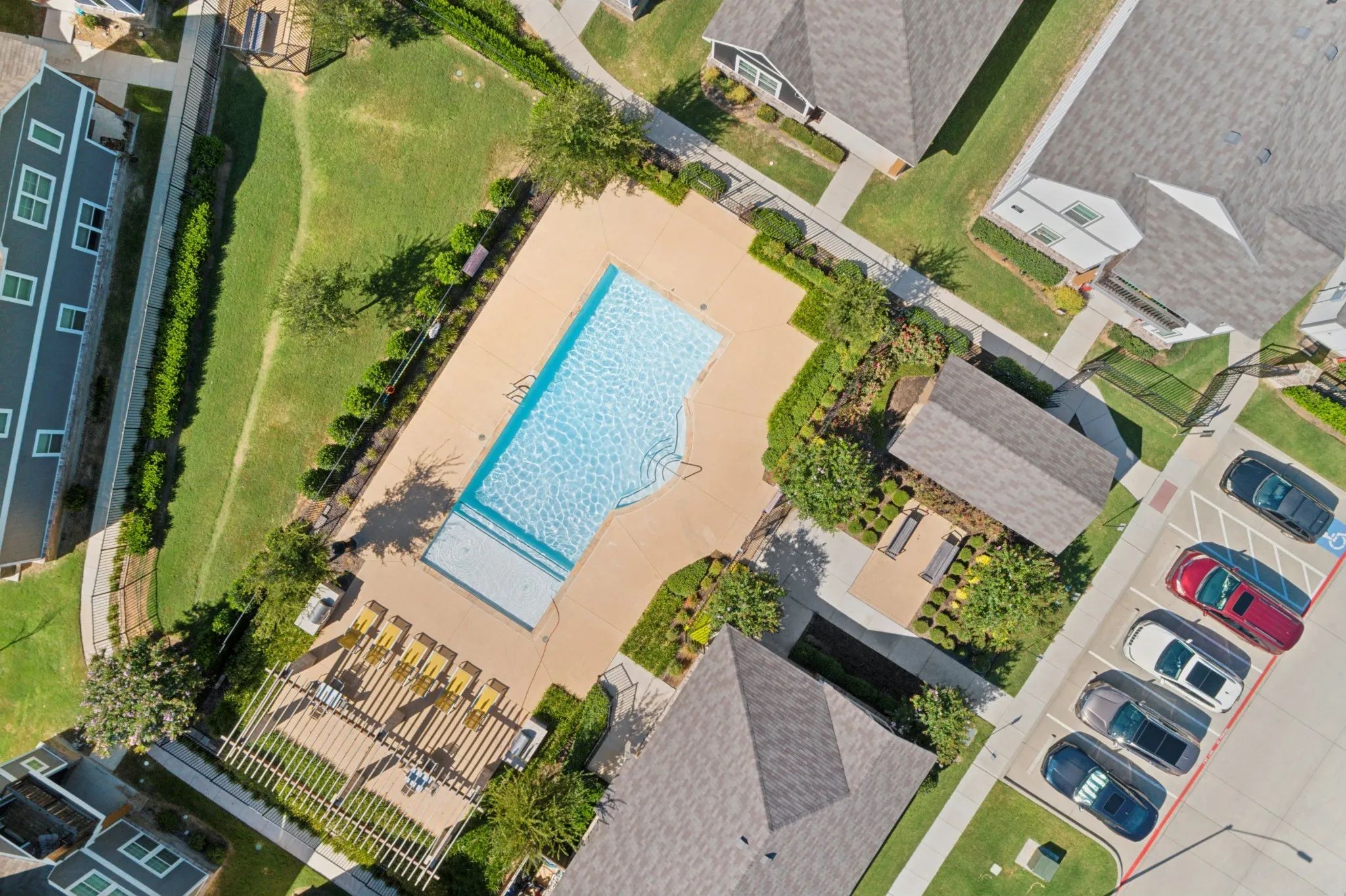 Rectangular swimming pool featuring a tanning ledge and surrounding concrete decking, complemented by a wooden pergola and professional landscaping