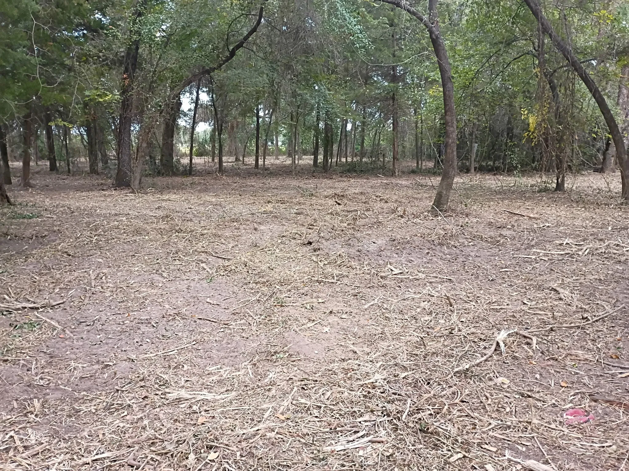 Expansive, level land parcel featuring mature trees and natural ground cover