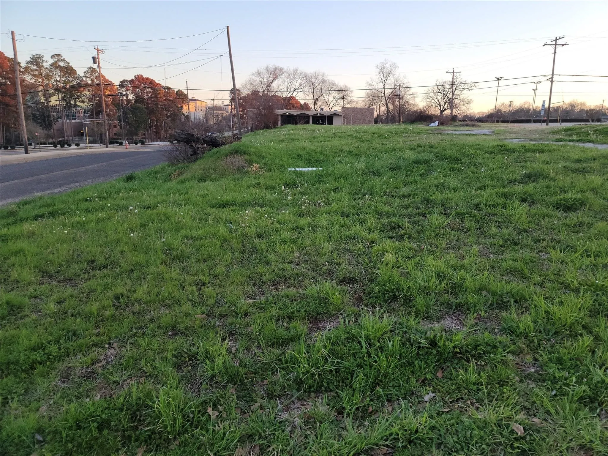 Expansive grass-covered lot with frontage along a paved thoroughfare and mature trees in the background