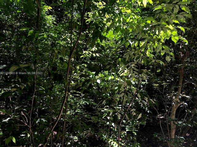 419 SE 9th St, Hallandale Beach, Florida 33009, Hallandale Beach, Florida 33009, ,Land,For Sale,419 SE 9th St, Hallandale Beach, Florida 33009,A11394583