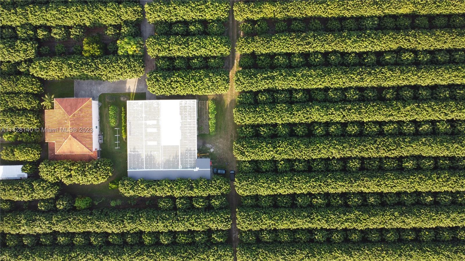 33300 SW 202nd Ave, Homestead, Florida 33034, Homestead, Florida 33034, 5 Bedrooms Bedrooms, ,4 BathroomsBathrooms,Residential,For Sale,33300 SW 202nd Ave, Homestead, Florida 33034,A11428140 33300 SW 202nd Ave, Homestead, Florida 33034, Homestead, Florida 33034, 5 Bedrooms Bedrooms, ,4 BathroomsBathrooms,Residential,For Sale,33300 SW 202nd Ave, Homestead, Florida 33034,A11428140