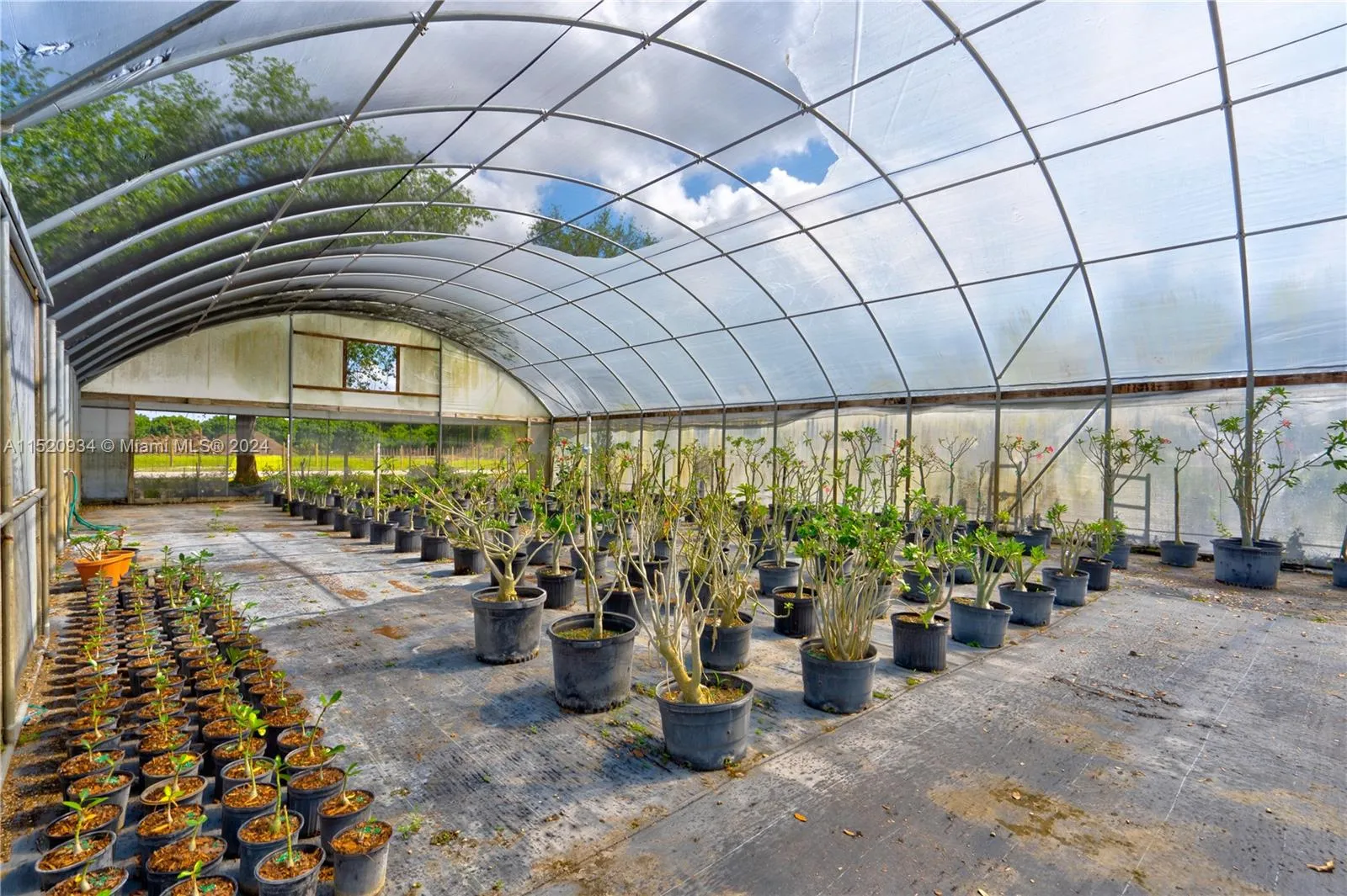 15500 SW 256th St, Homestead, Florida 33032, Homestead, Florida 33032, ,Business Opportunity,For Sale,15500 SW 256th St, Homestead, Florida 33032,A11520934