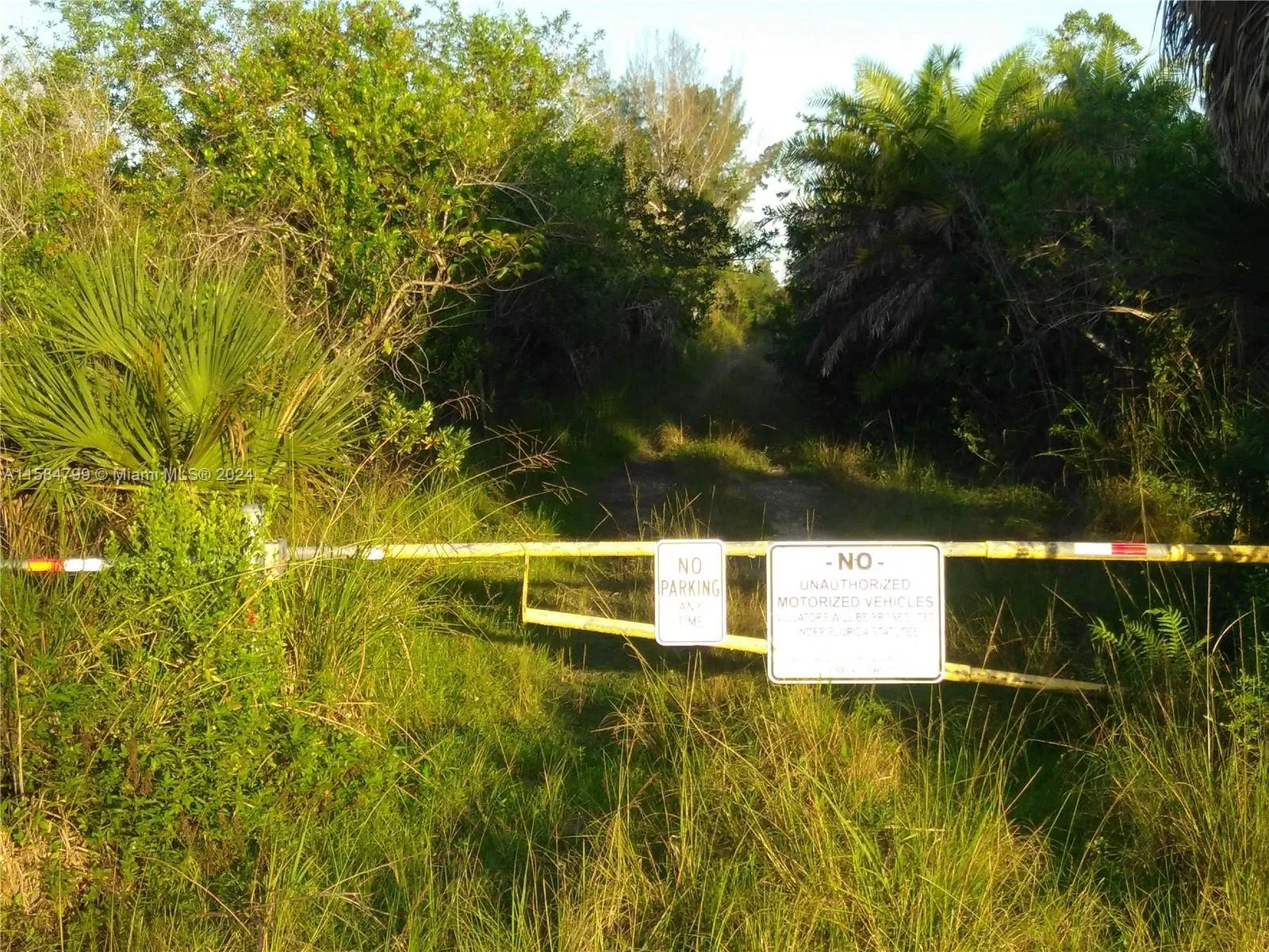 404xx Sw 157 Ave, Homestead, Florida 33035, Homestead, Florida 33035, ,Land,For Sale,404xx Sw 157 Ave, Homestead, Florida 33035,A11584799