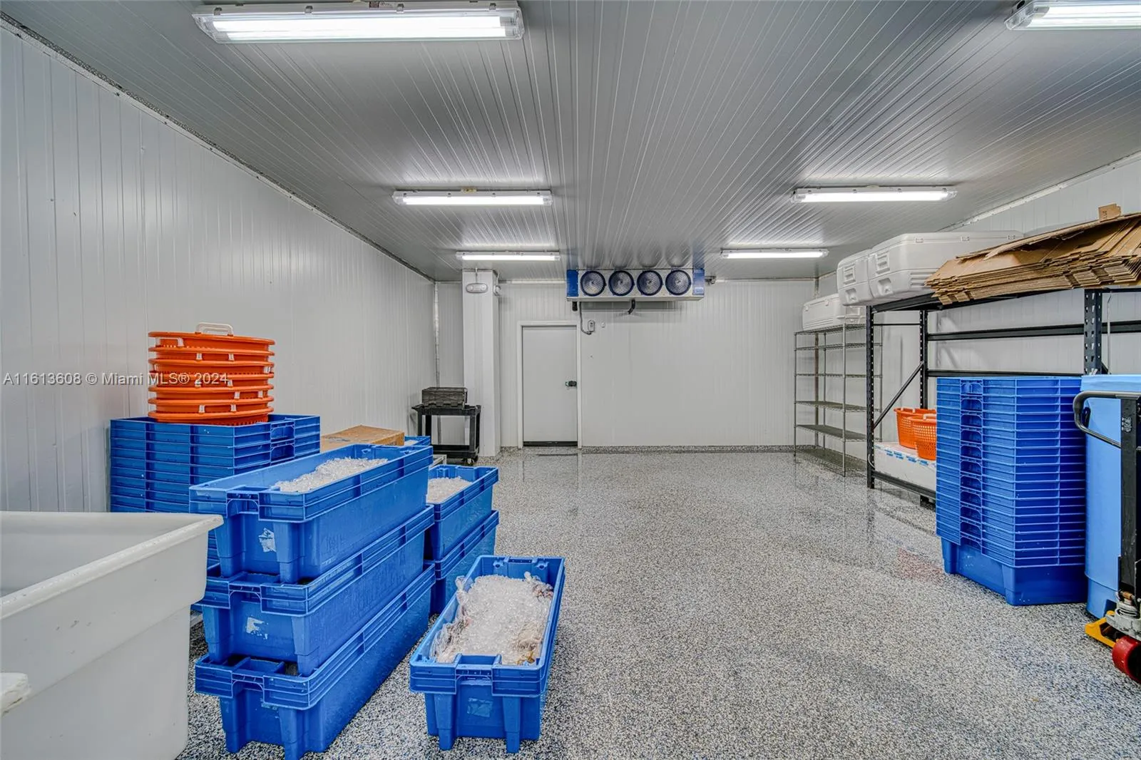 Top Of The Line Fish & Seafood Market With Dis, Miami, Florida 33186, ,Business Opportunity,For Sale,Top Of The Line Fish & Seafood Market With Dis,A11613608