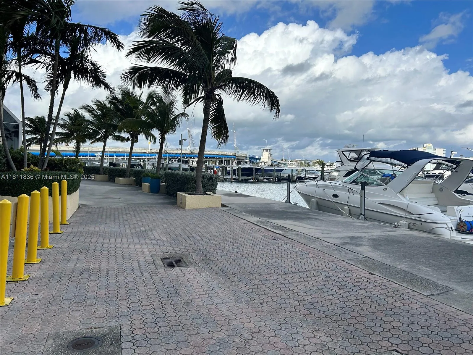 7601 E Treasure Dr, North Bay Village, Florida 331, North Bay Village, Florida 33141, ,Business Opportunity,For Sale,7601 E Treasure Dr, North Bay Village, Florida 331,A11611836