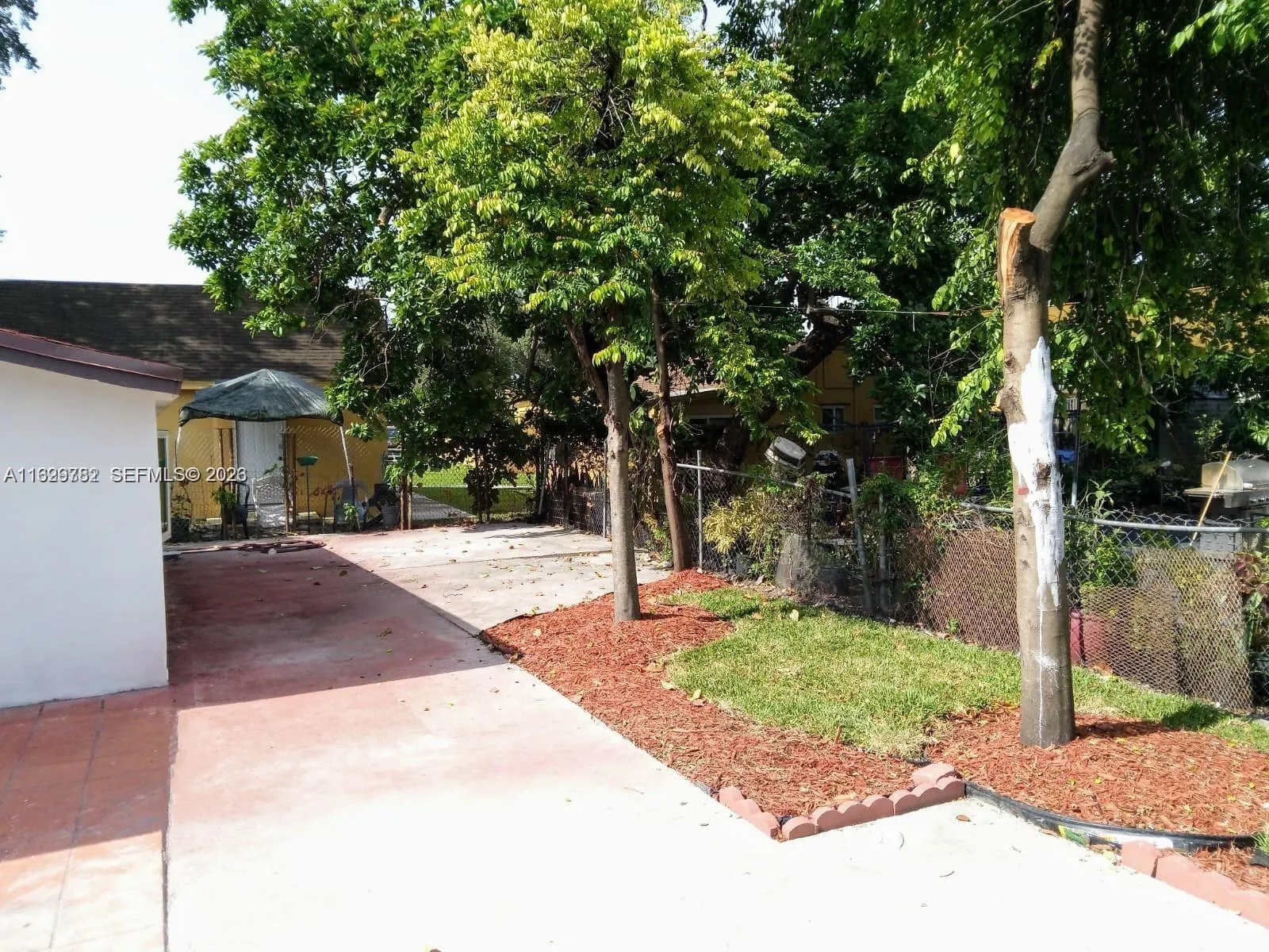 PATIO WITH GREAT ORGANIC FRUIT TREES