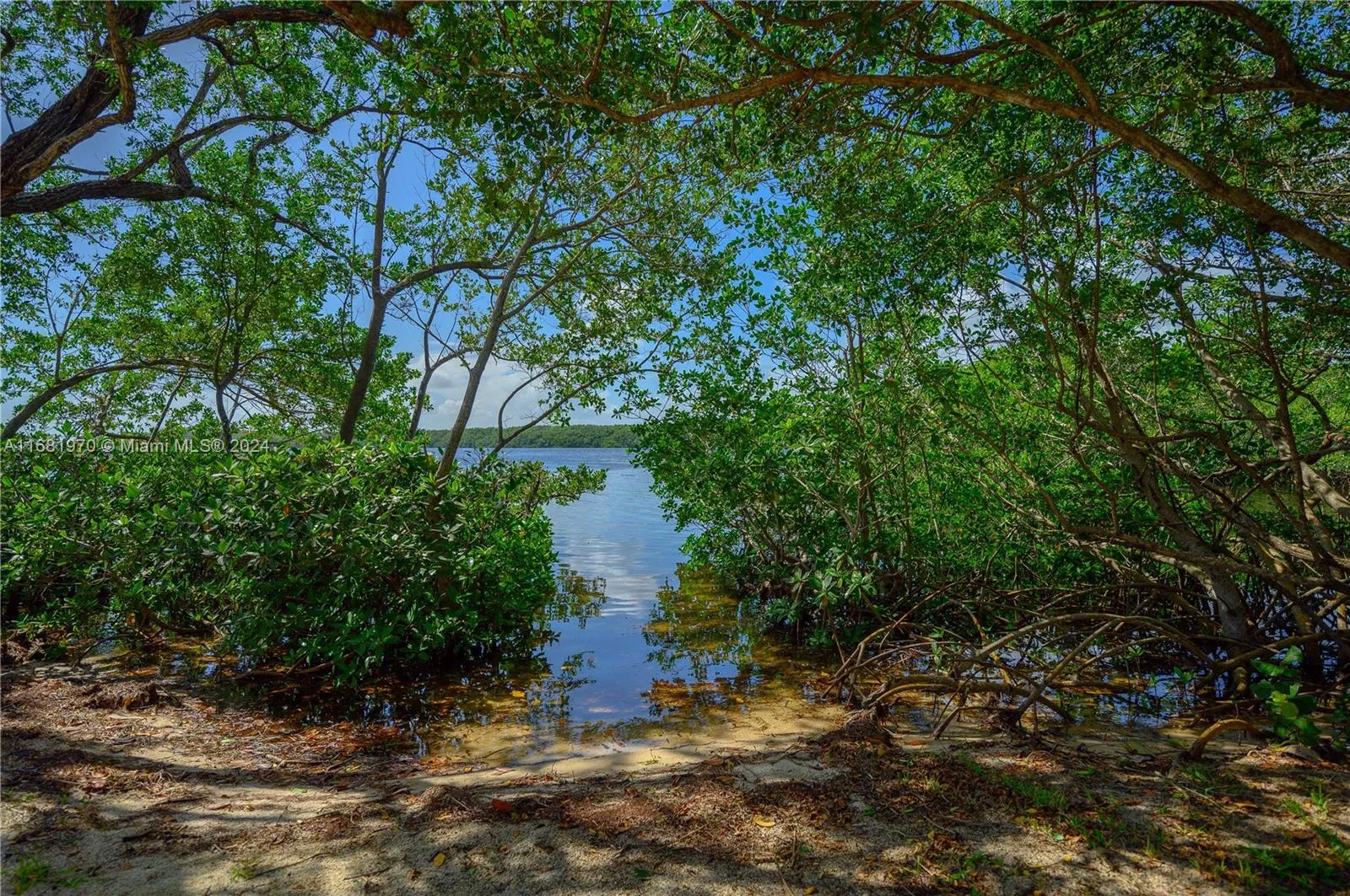 5990 Paradise Point Dr 5990, Palmetto Bay, Florida, Palmetto Bay, Florida 33157, 4 Bedrooms Bedrooms, ,3 BathroomsBathrooms,Residential,For Sale,5990 Paradise Point Dr 5990, Palmetto Bay, Florida,A11681970